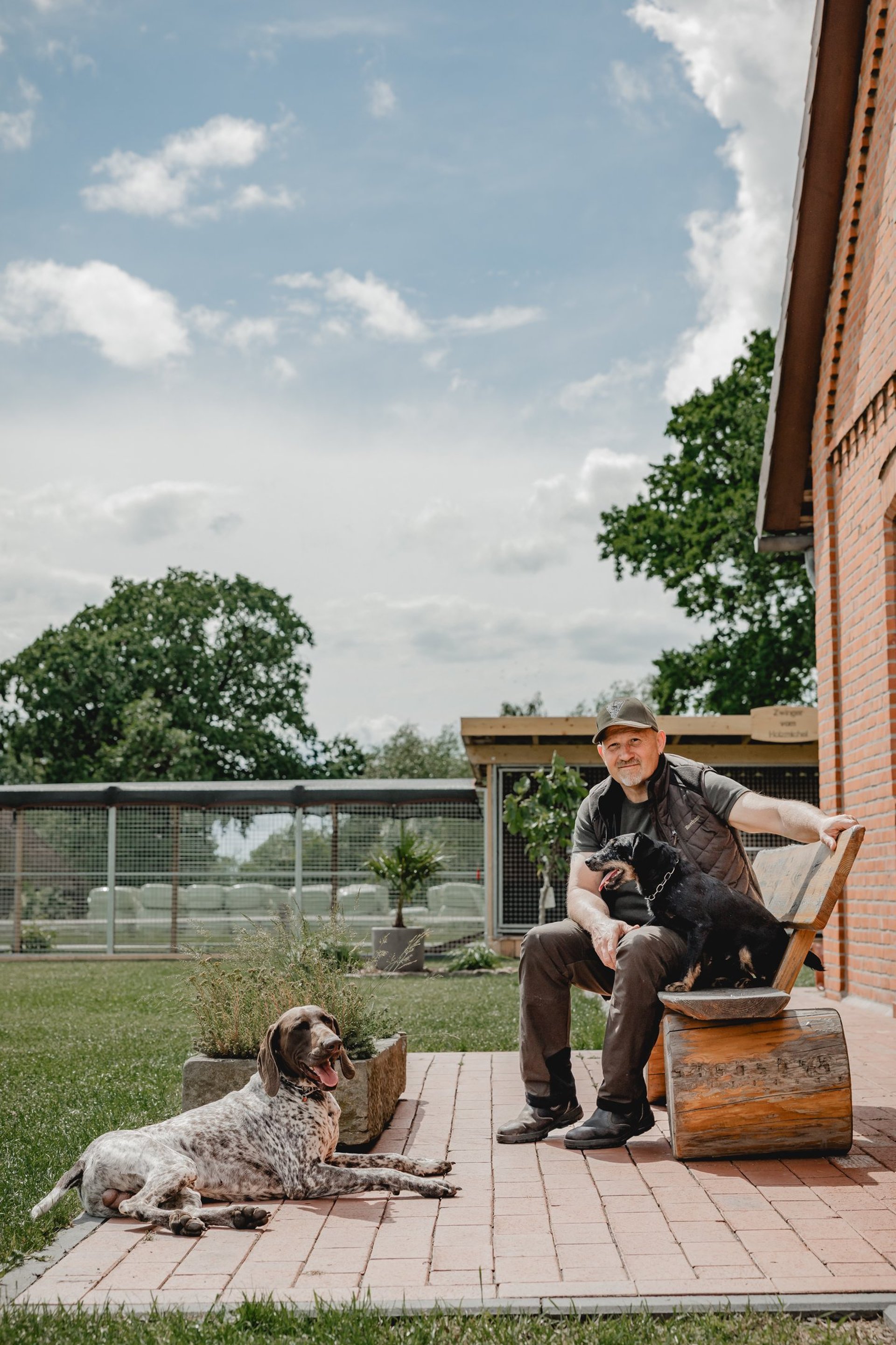 Stöberhund bei Drückjagd