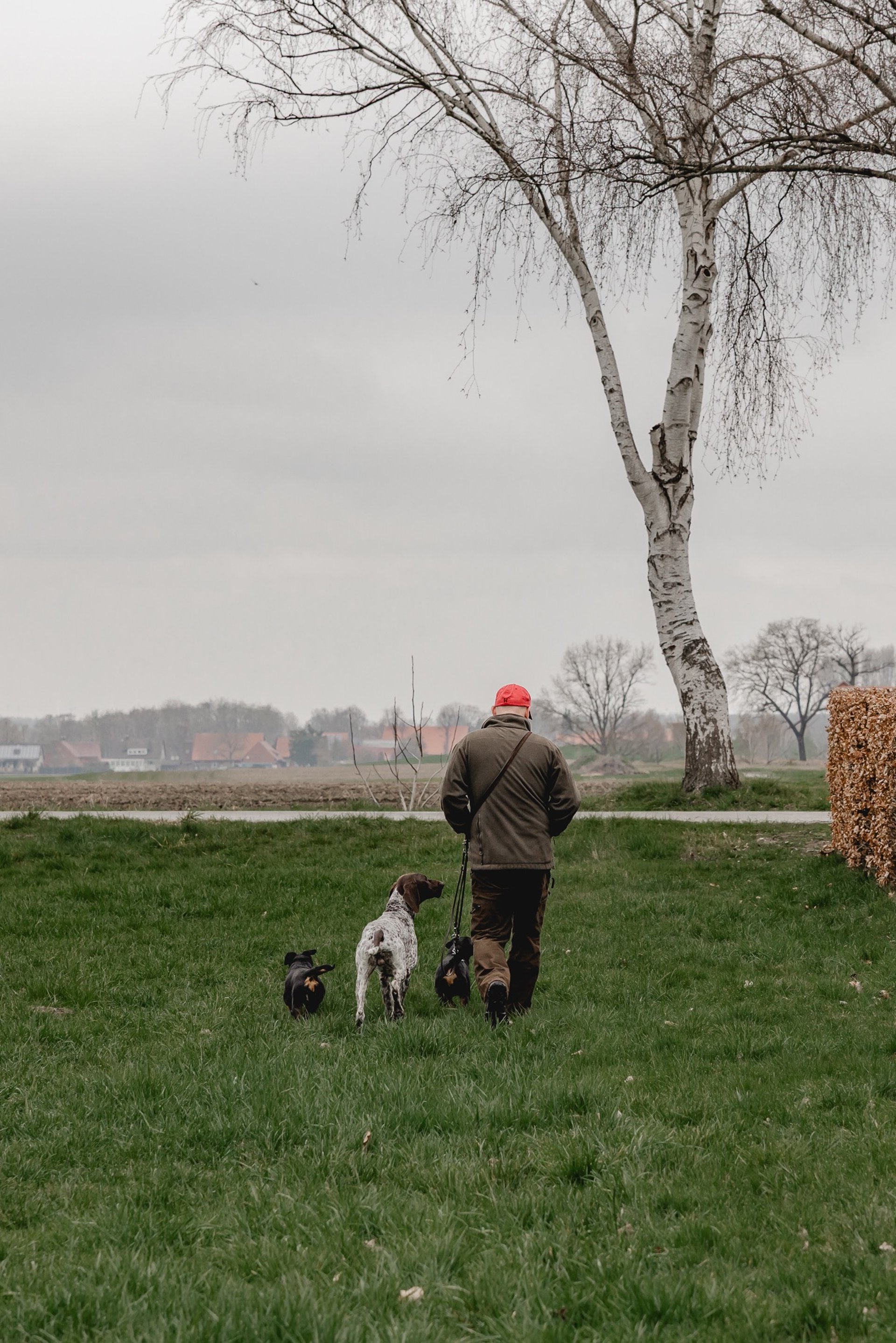 an abstract photo of a curved building with a blue sky in the background