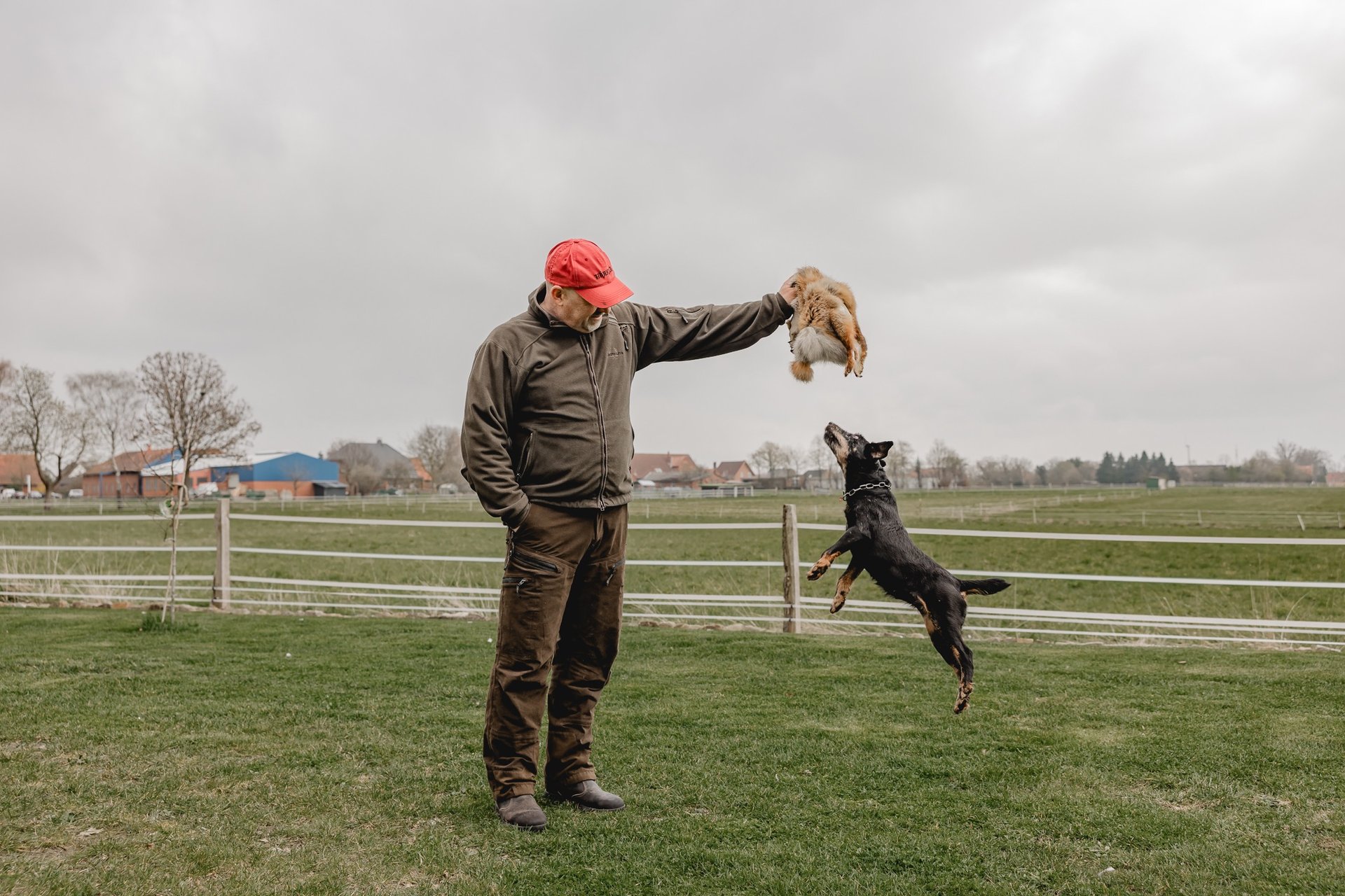Jagdhund Ausbildung Bauarbeit