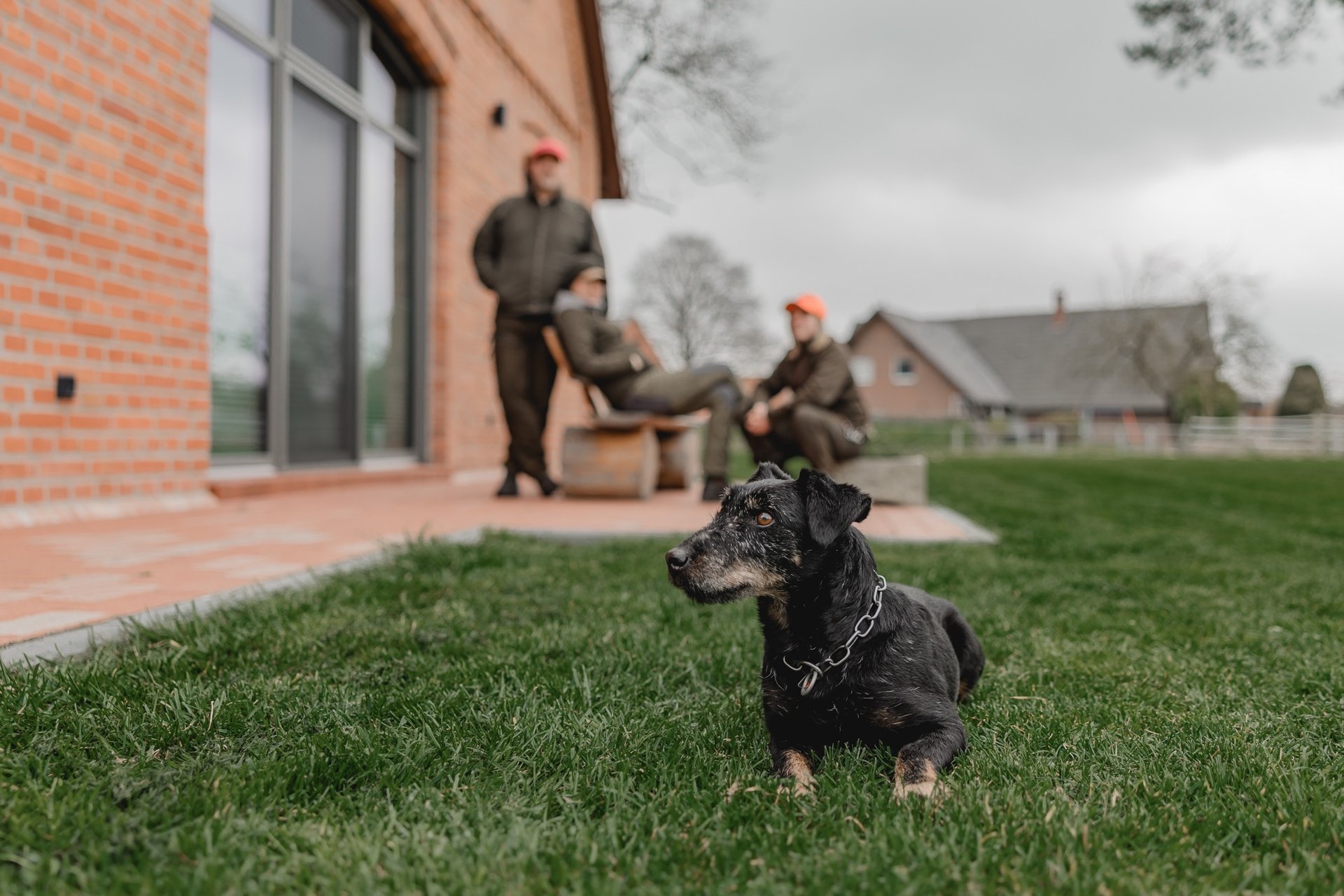 Jagdhund Ausbildung Bauarbeit