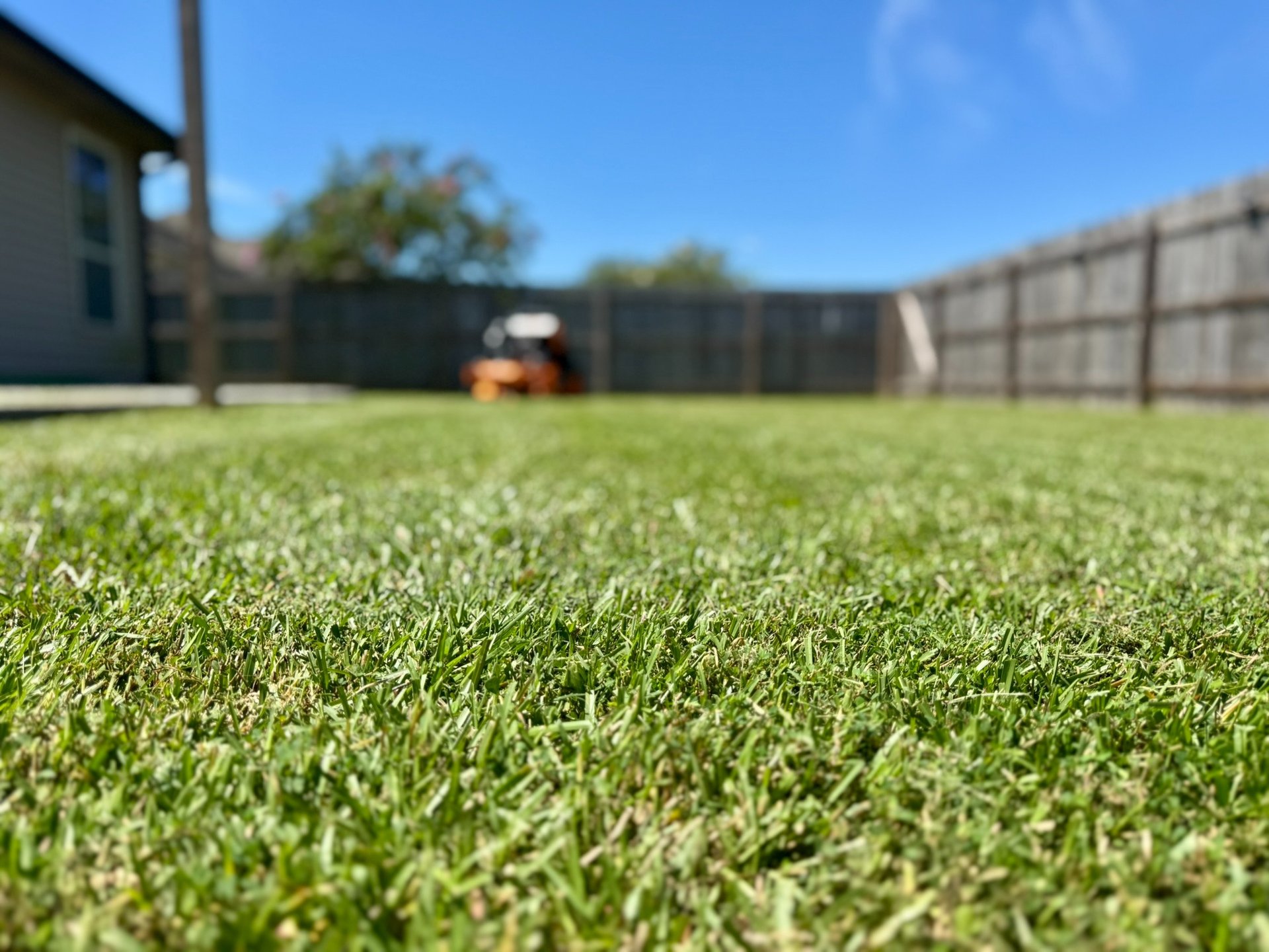 black and brown leather padded tub sofa