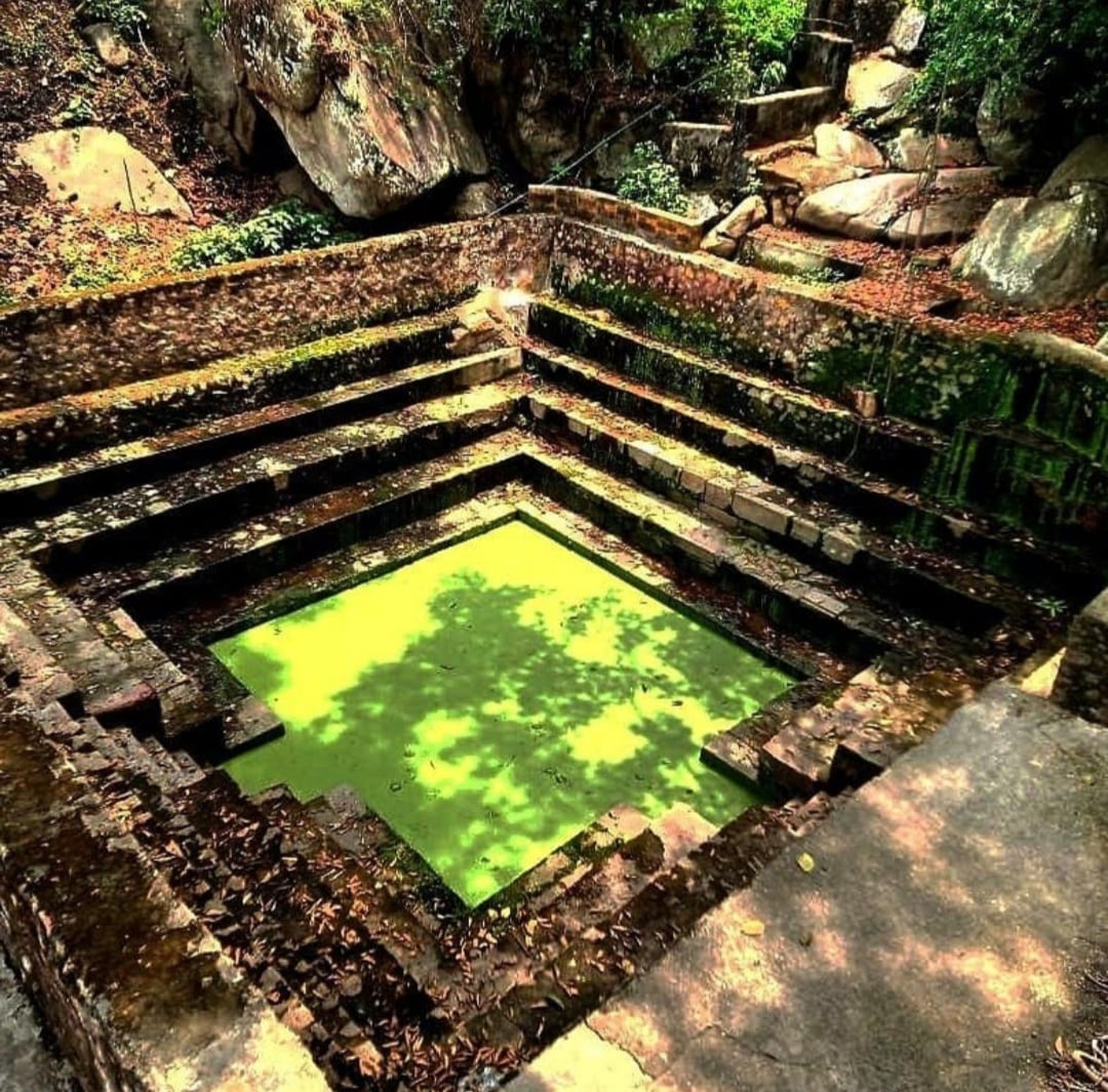 person holding white ceramic plate with fruits