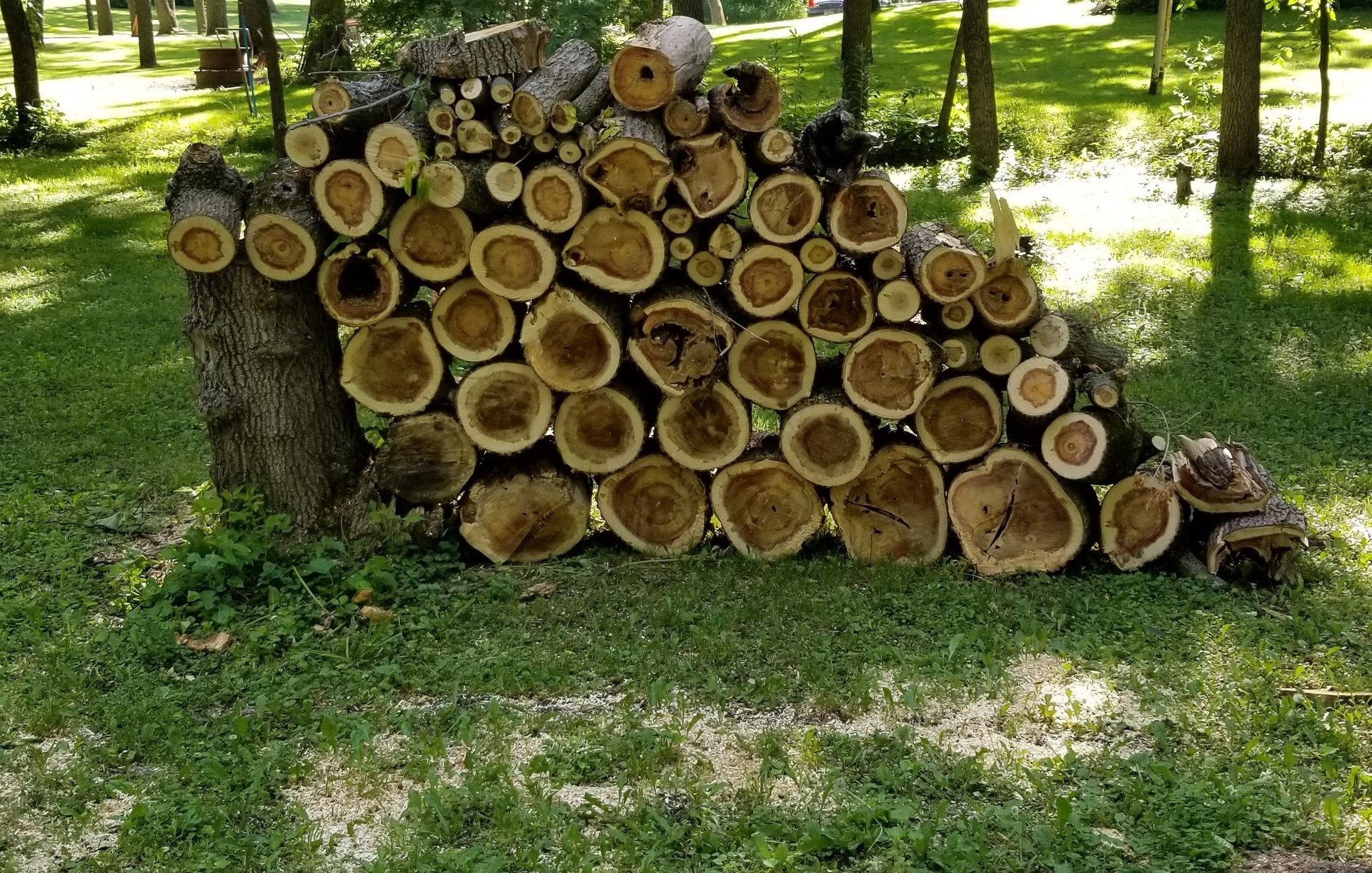 gray computer monitor