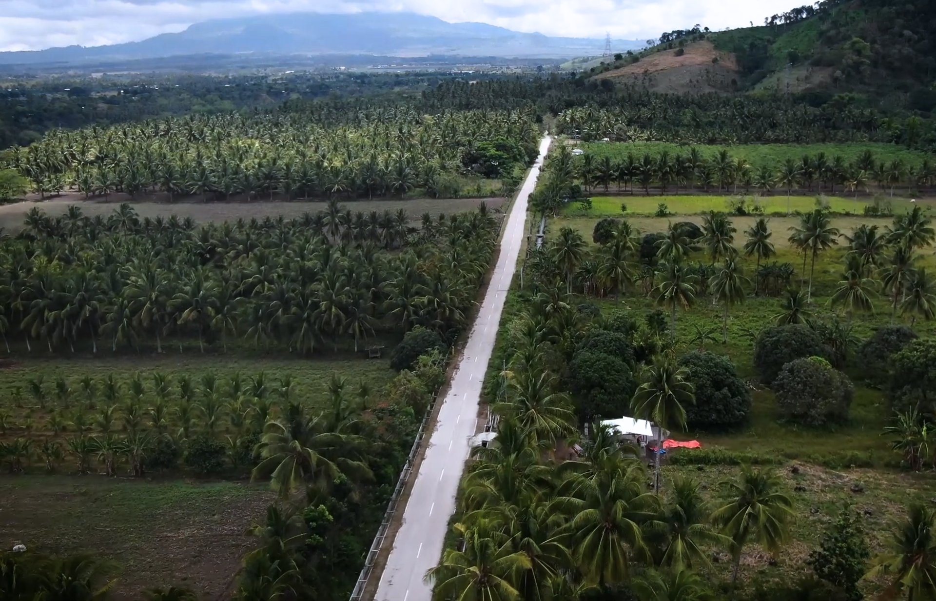 black and white bed linen