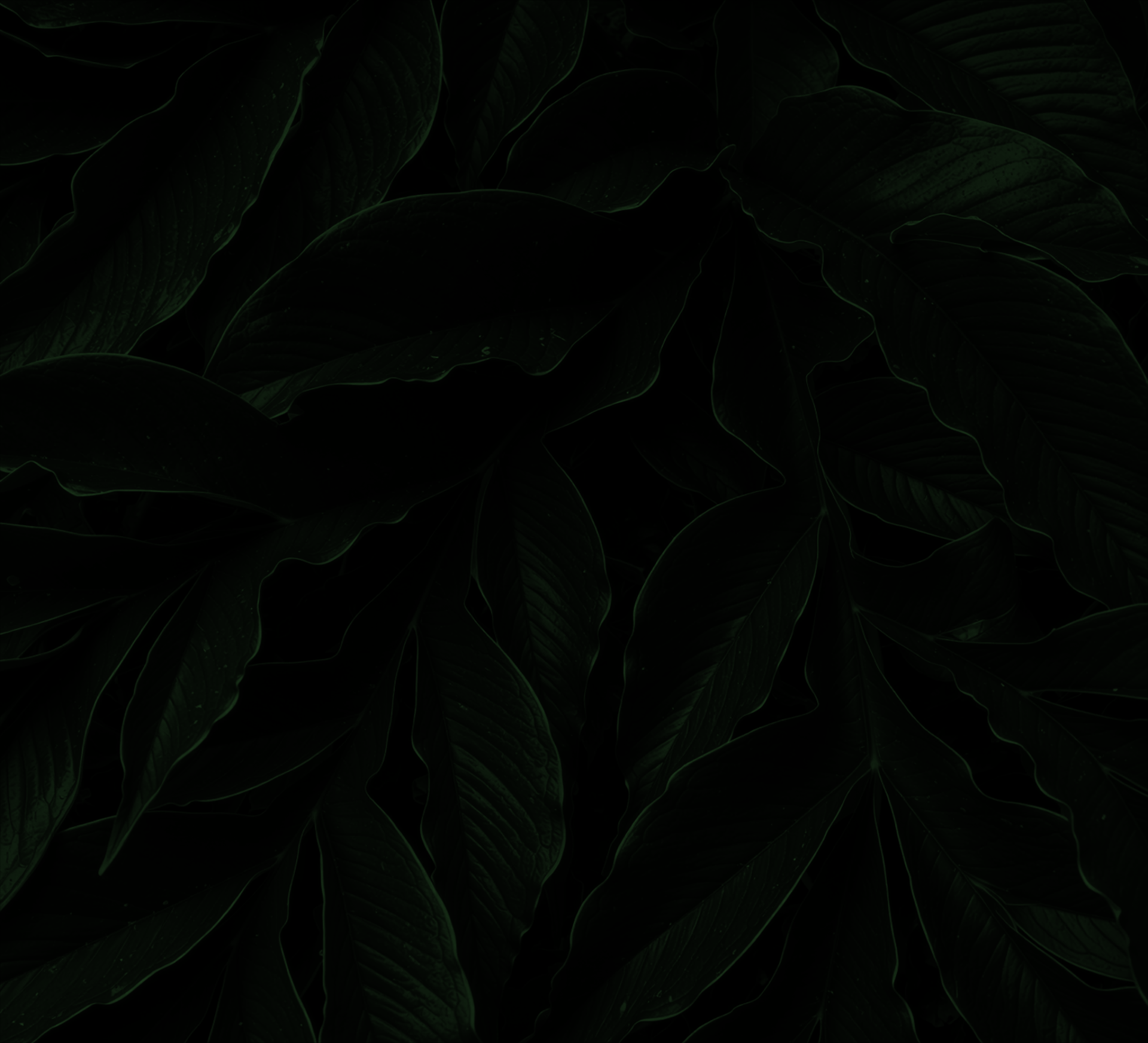 black and brown leather padded tub sofa