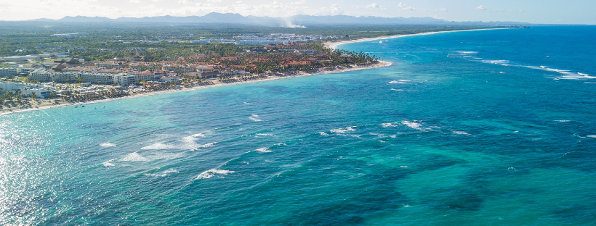top view of brown flying eagle above seashore
