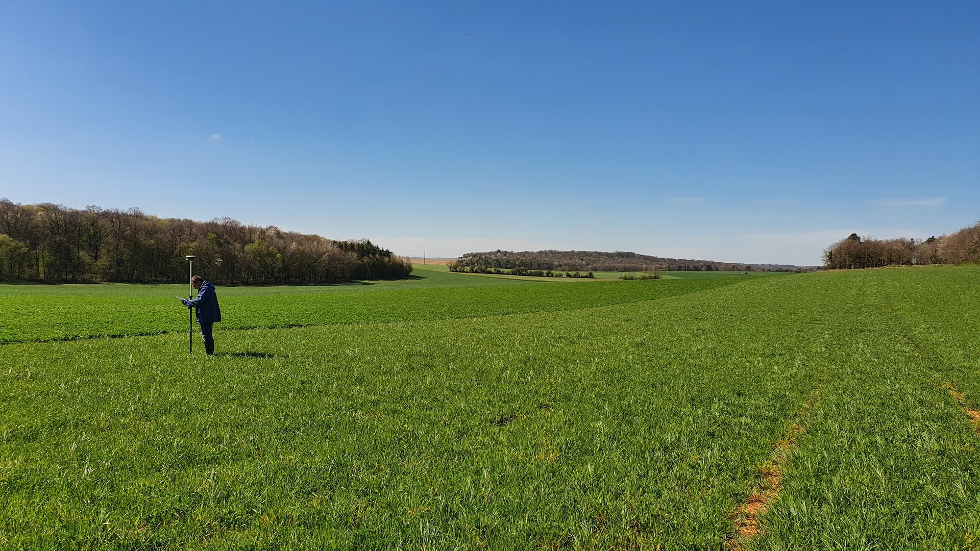 green grass field during daytime