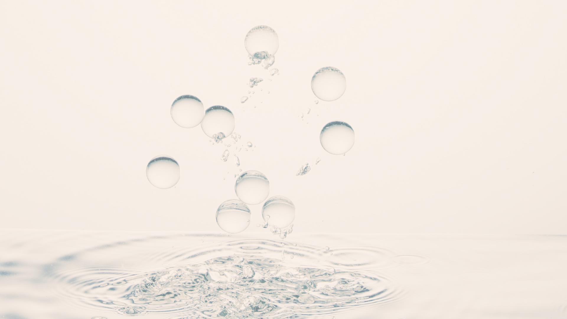 yellow sunflower field during daytime