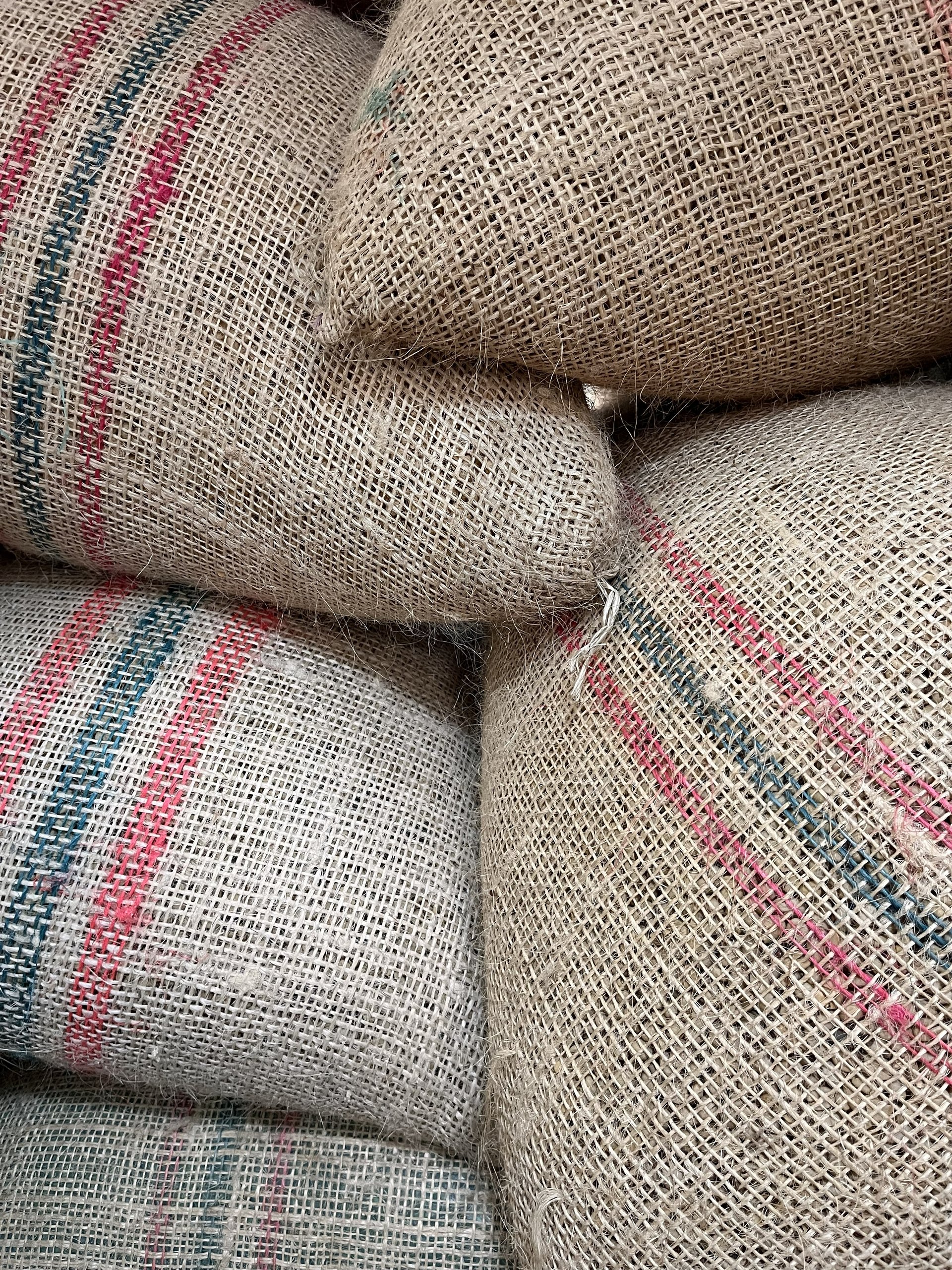 a group of vases sitting next to each other