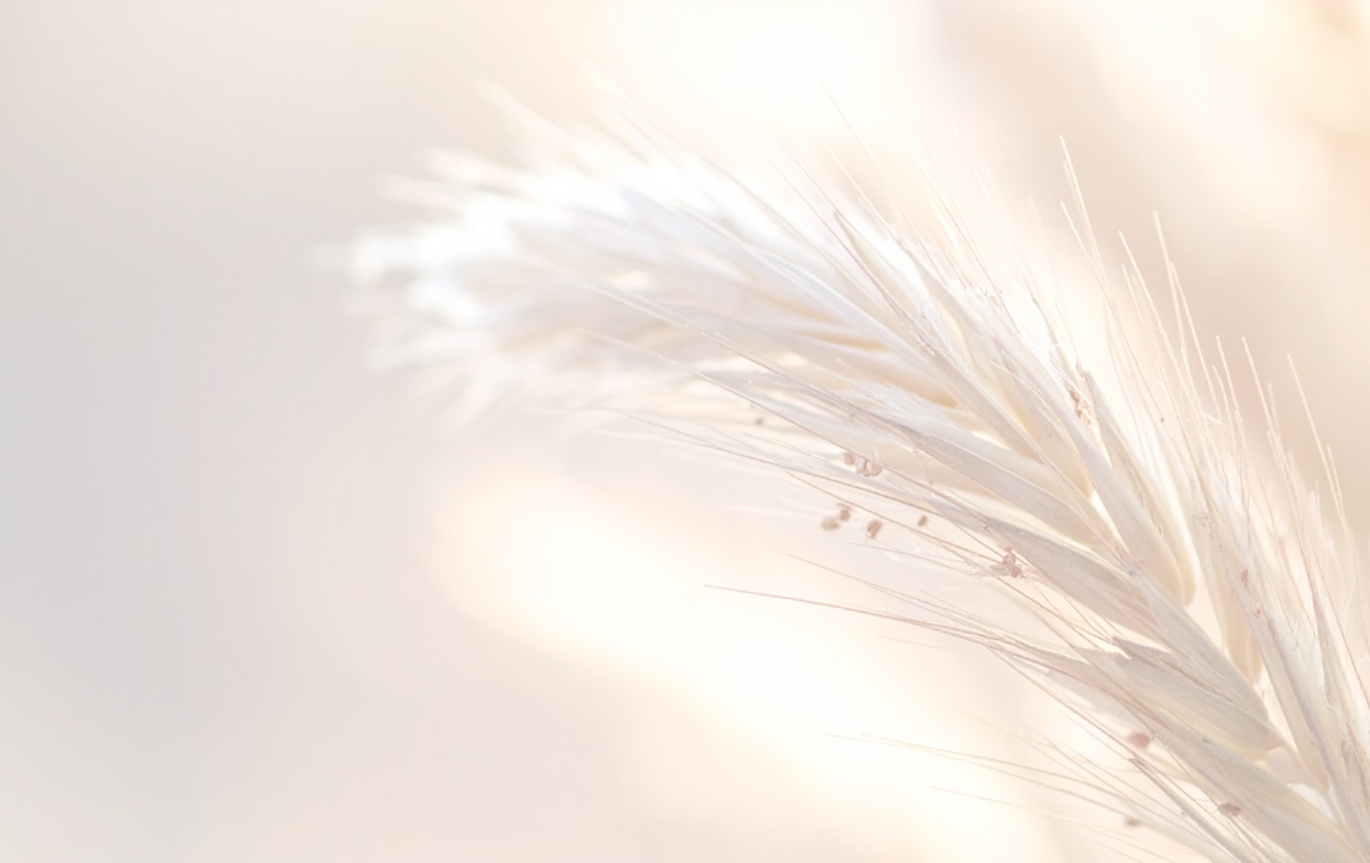 woman wearing yellow long-sleeved dress under white clouds and blue sky during daytime