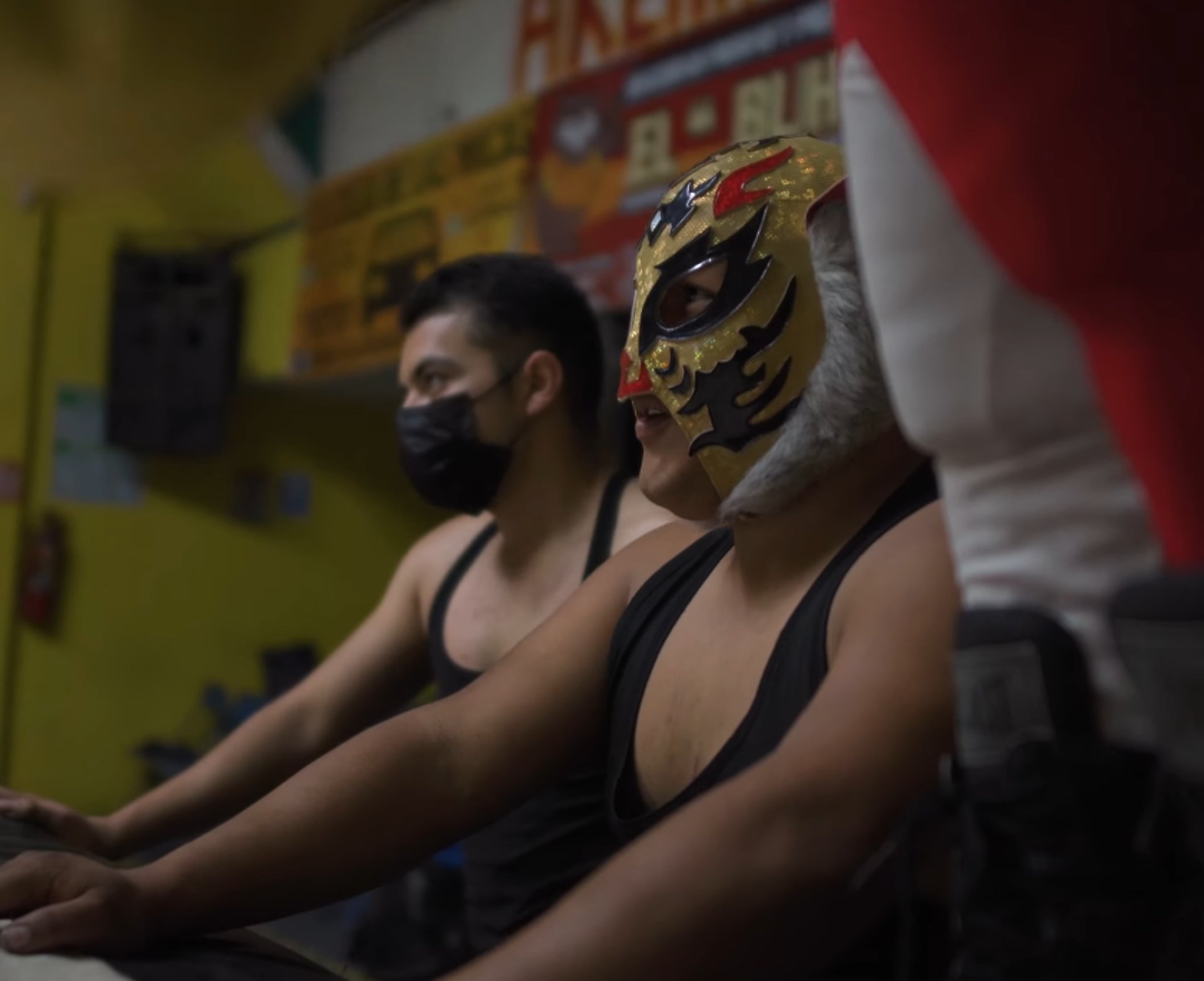 red yellow and white flower petals