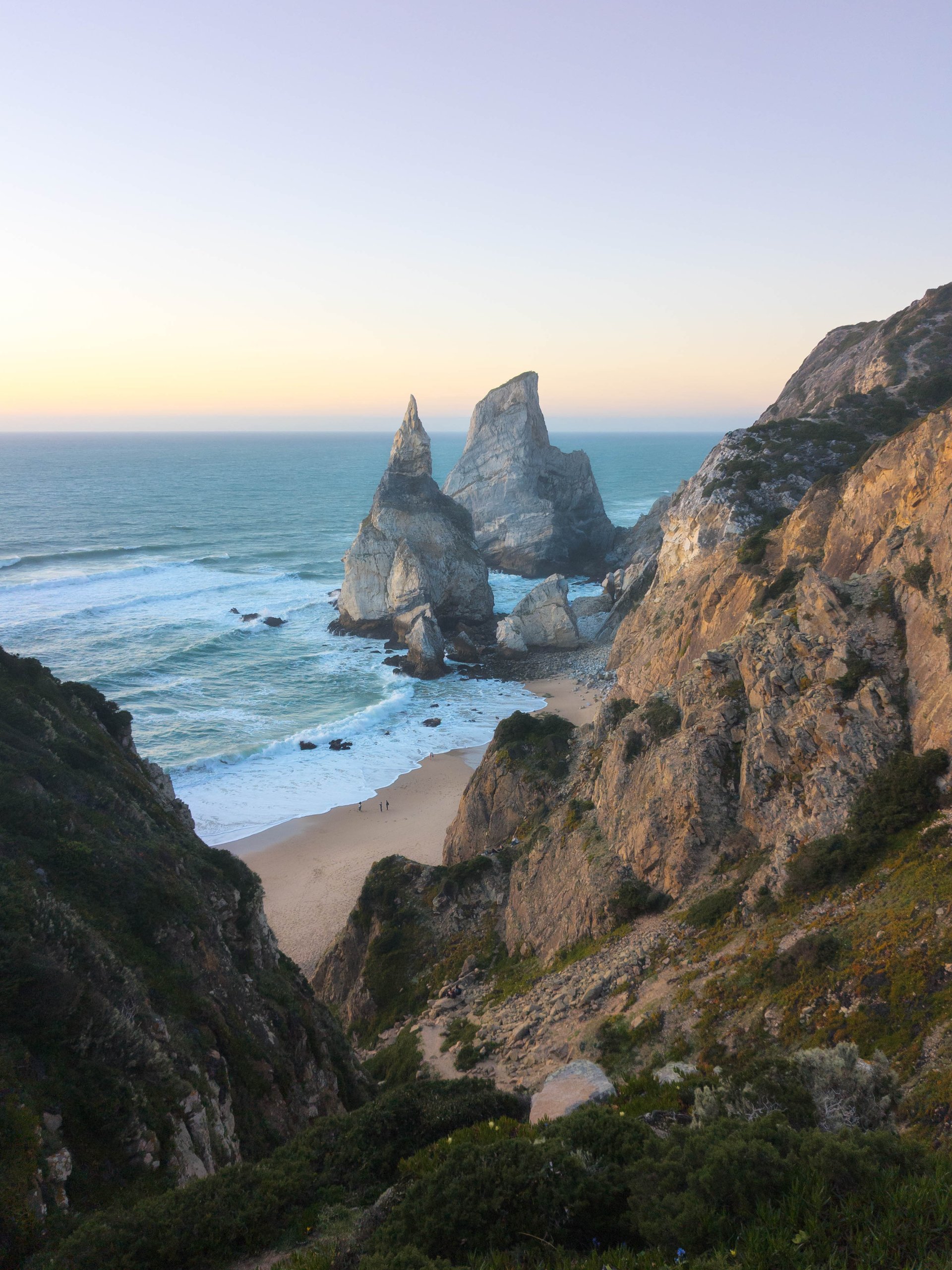 red yellow and white flower petals