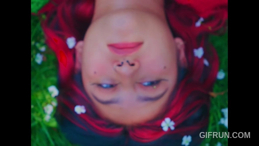 red yellow and white flower petals