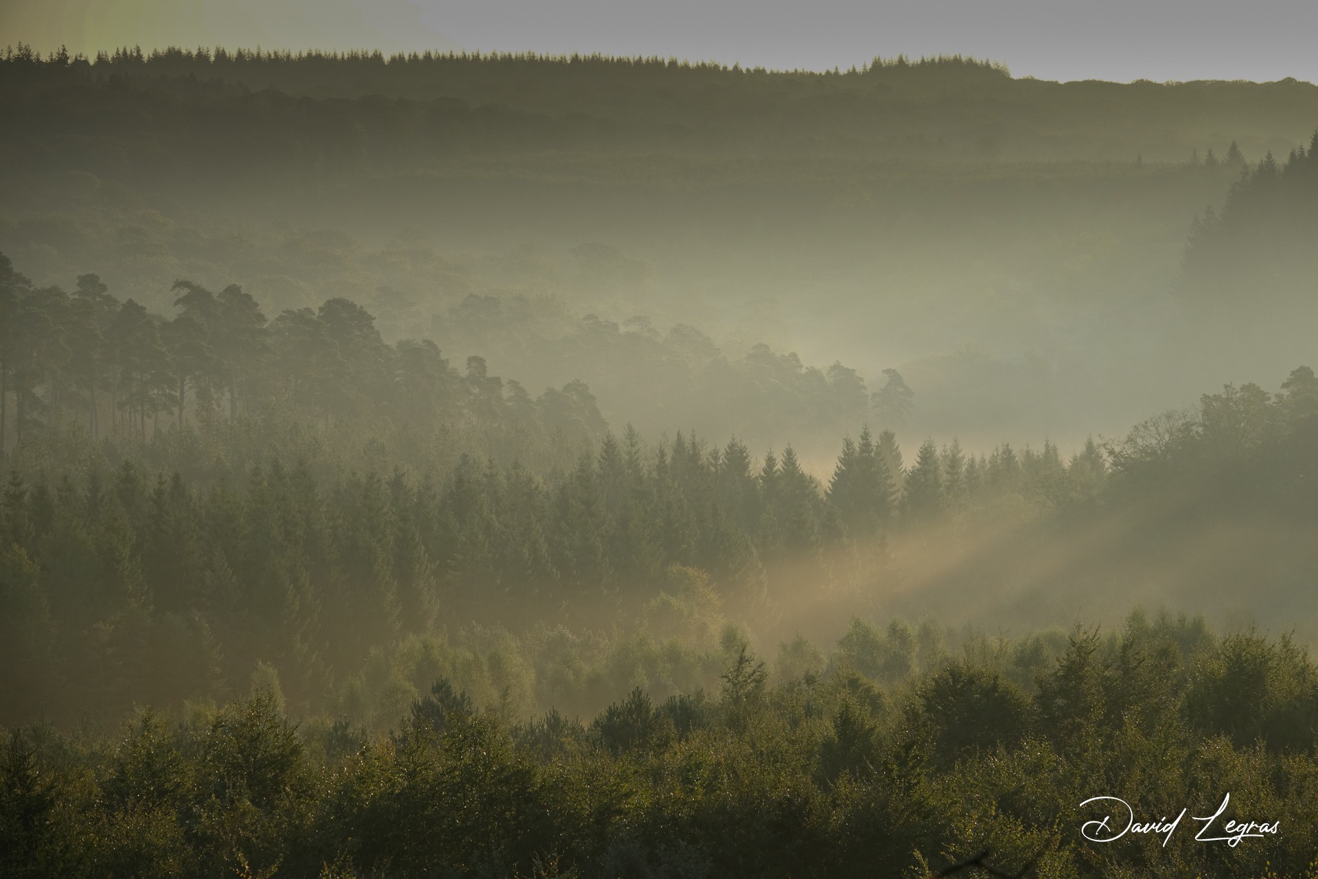 gray computer monitor