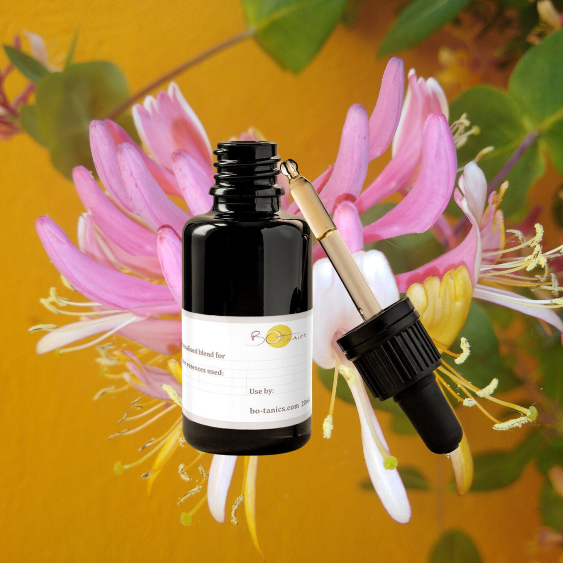 Crab apple blossom — the Bach flower essence for cleansing, self-acceptance and a fresh start