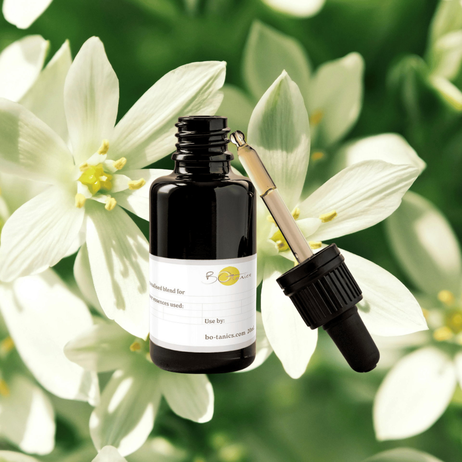 Crab apple blossom — the Bach flower essence for cleansing, self-acceptance and a fresh start