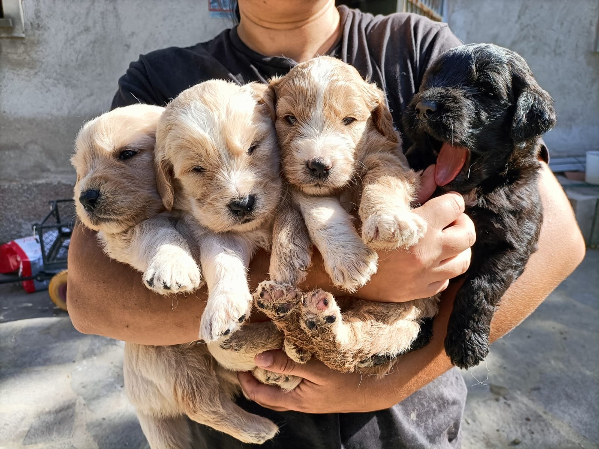 black and white bed linen