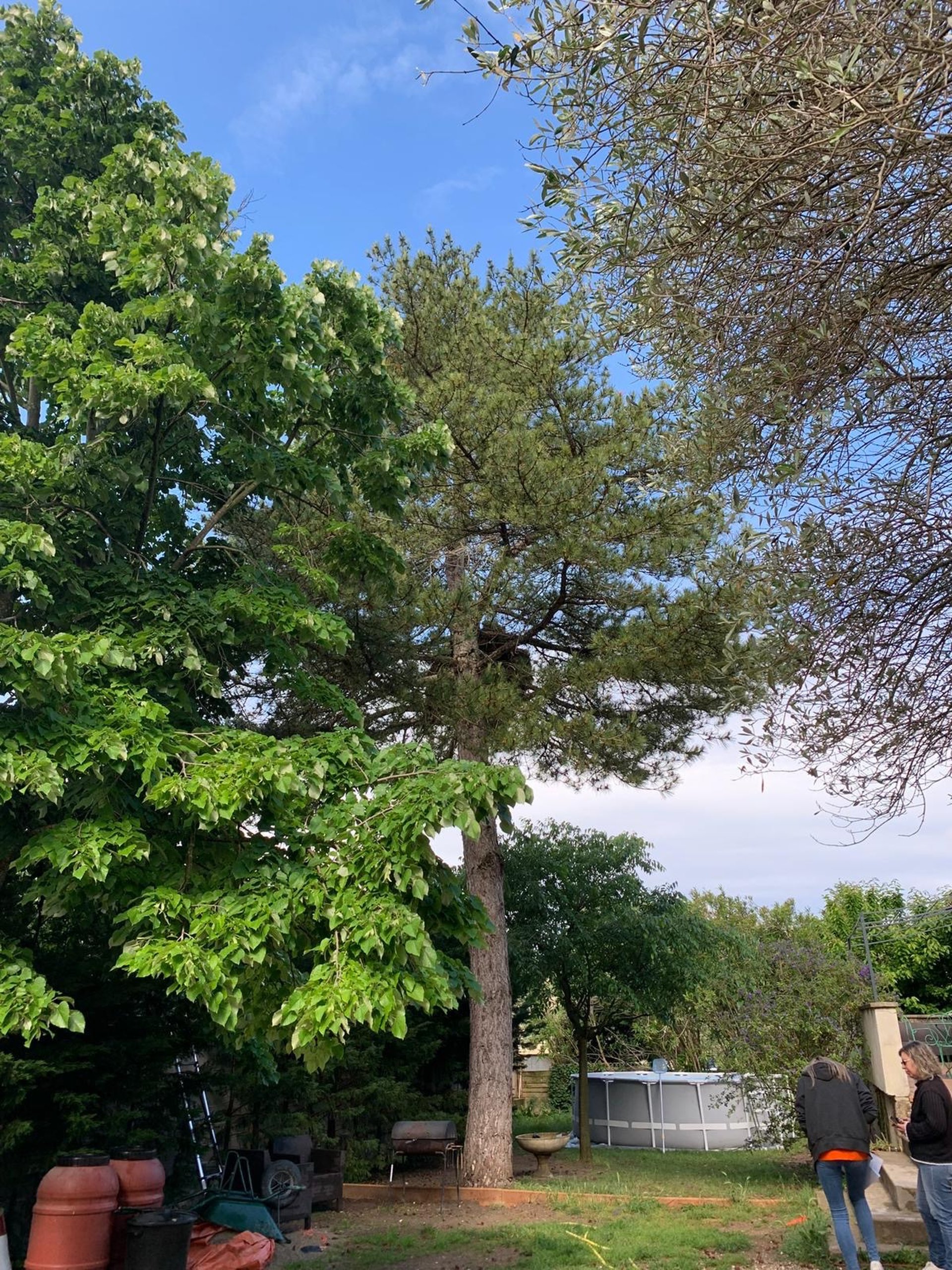black and white bed linen