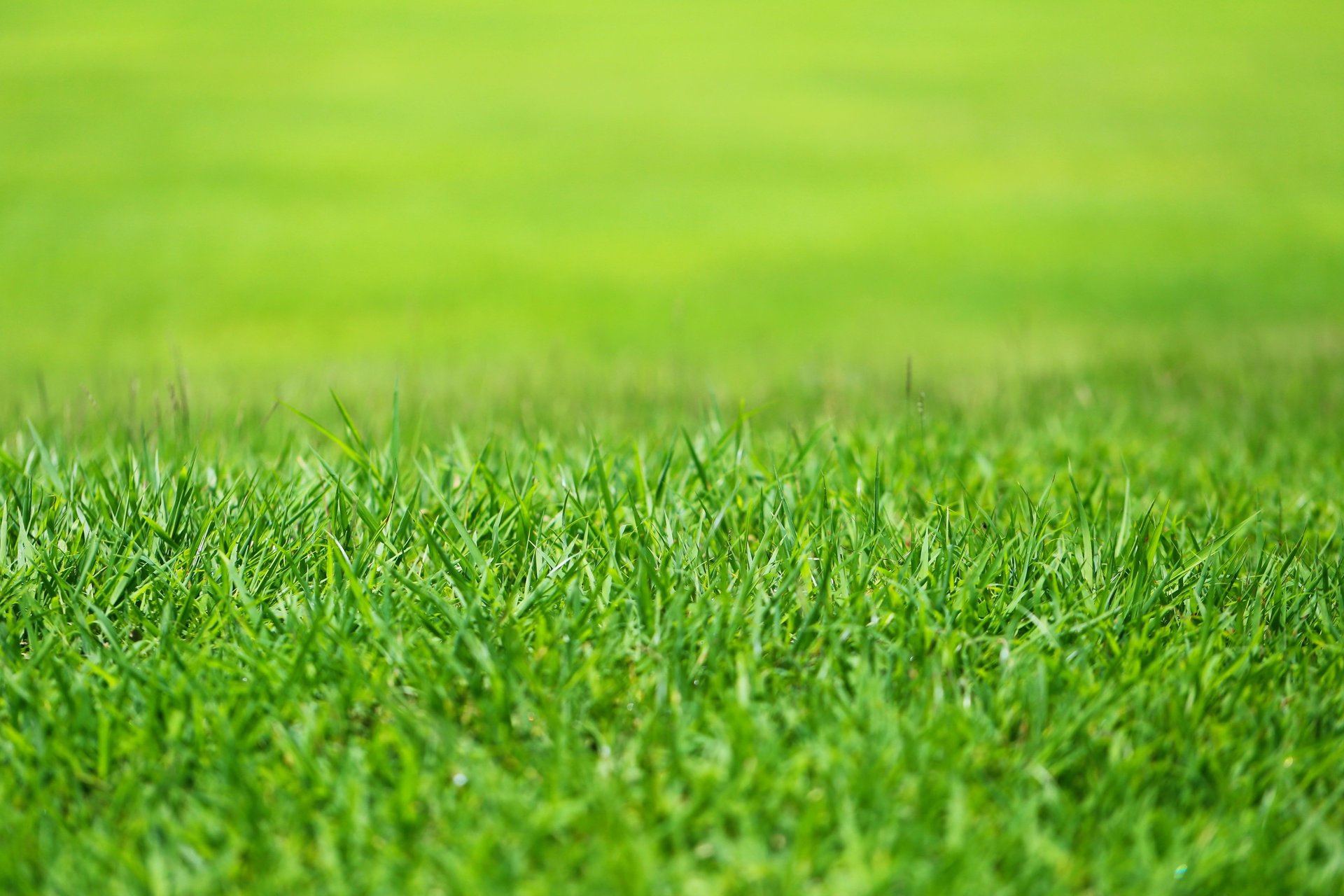 woman wearing yellow long-sleeved dress under white clouds and blue sky during daytime