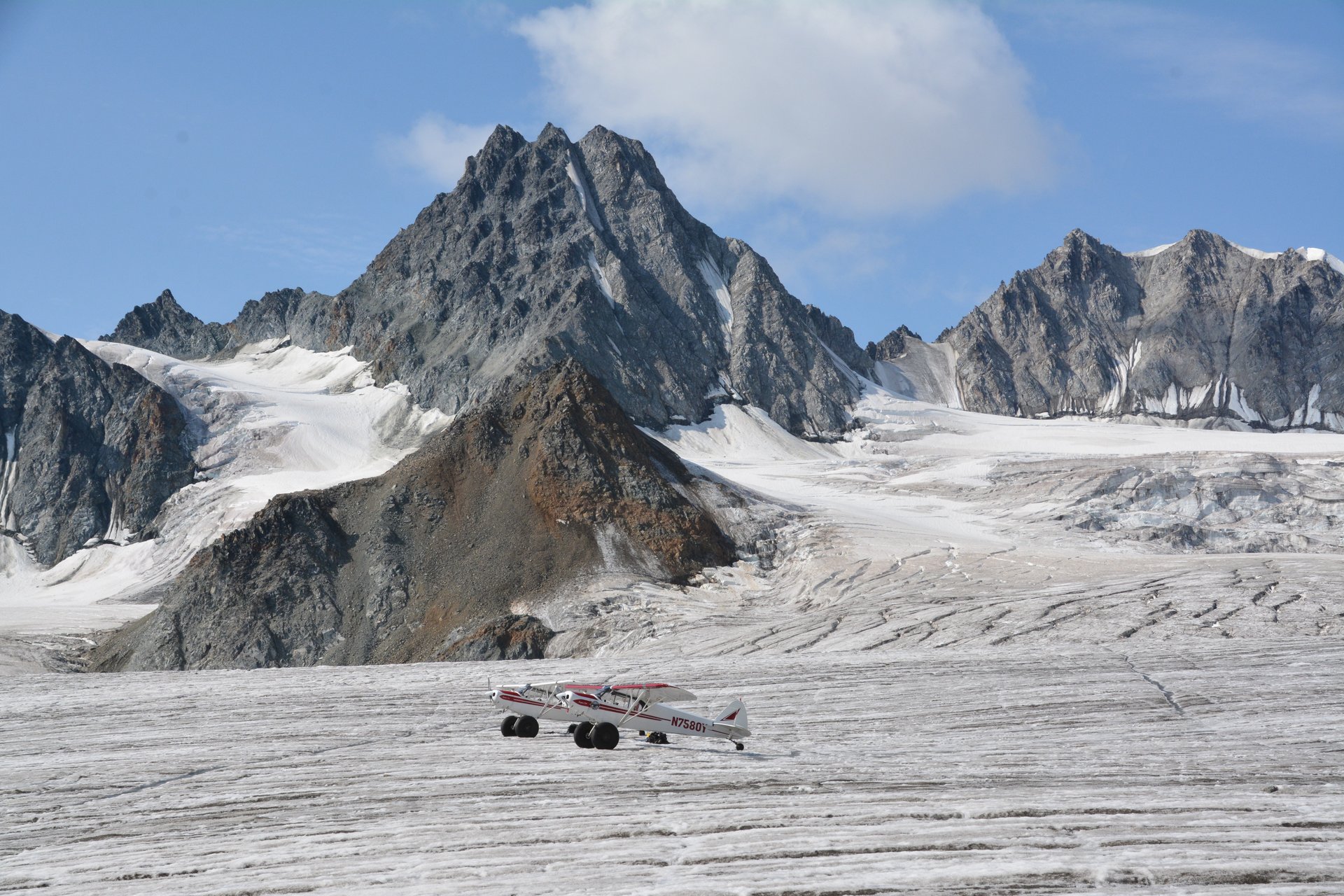 gray computer monitor