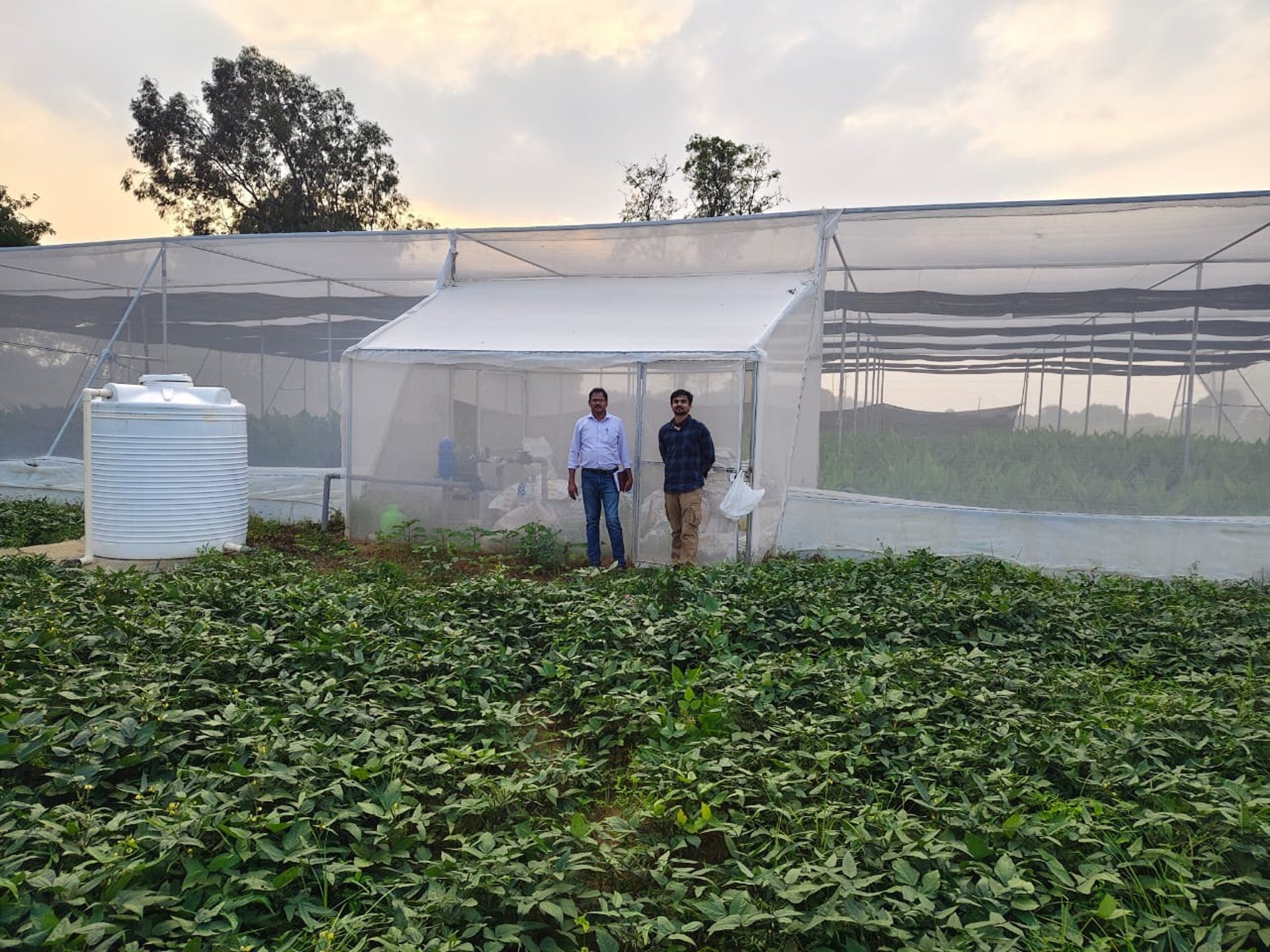 mountain range under blue sky