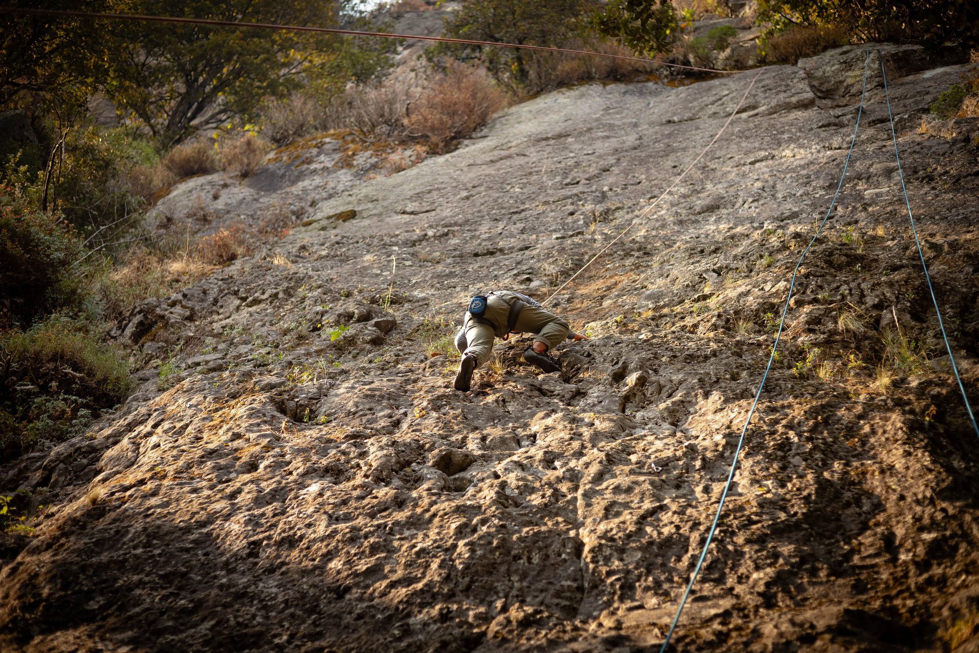 black blue and yellow textile