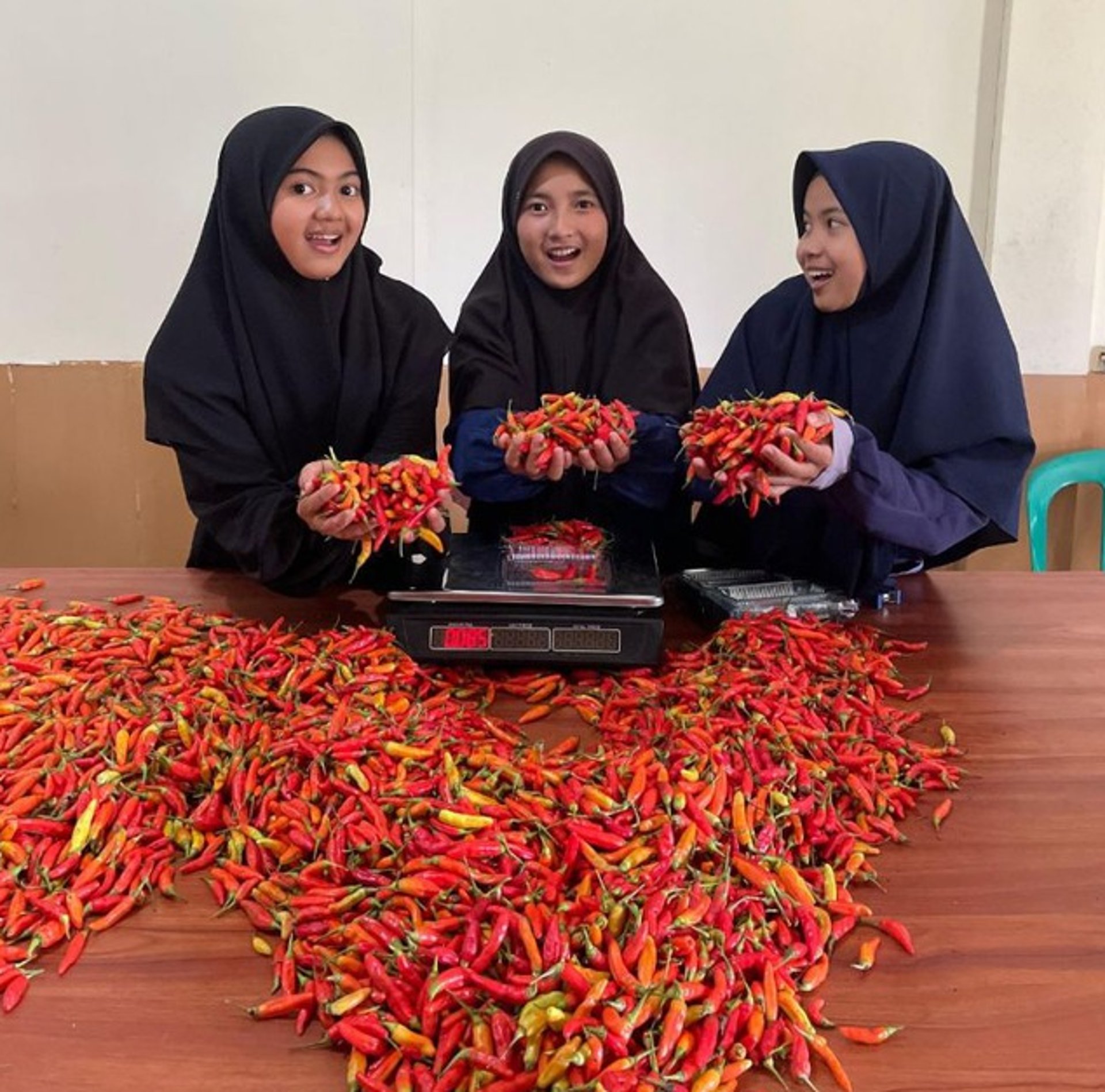 gray computer monitor