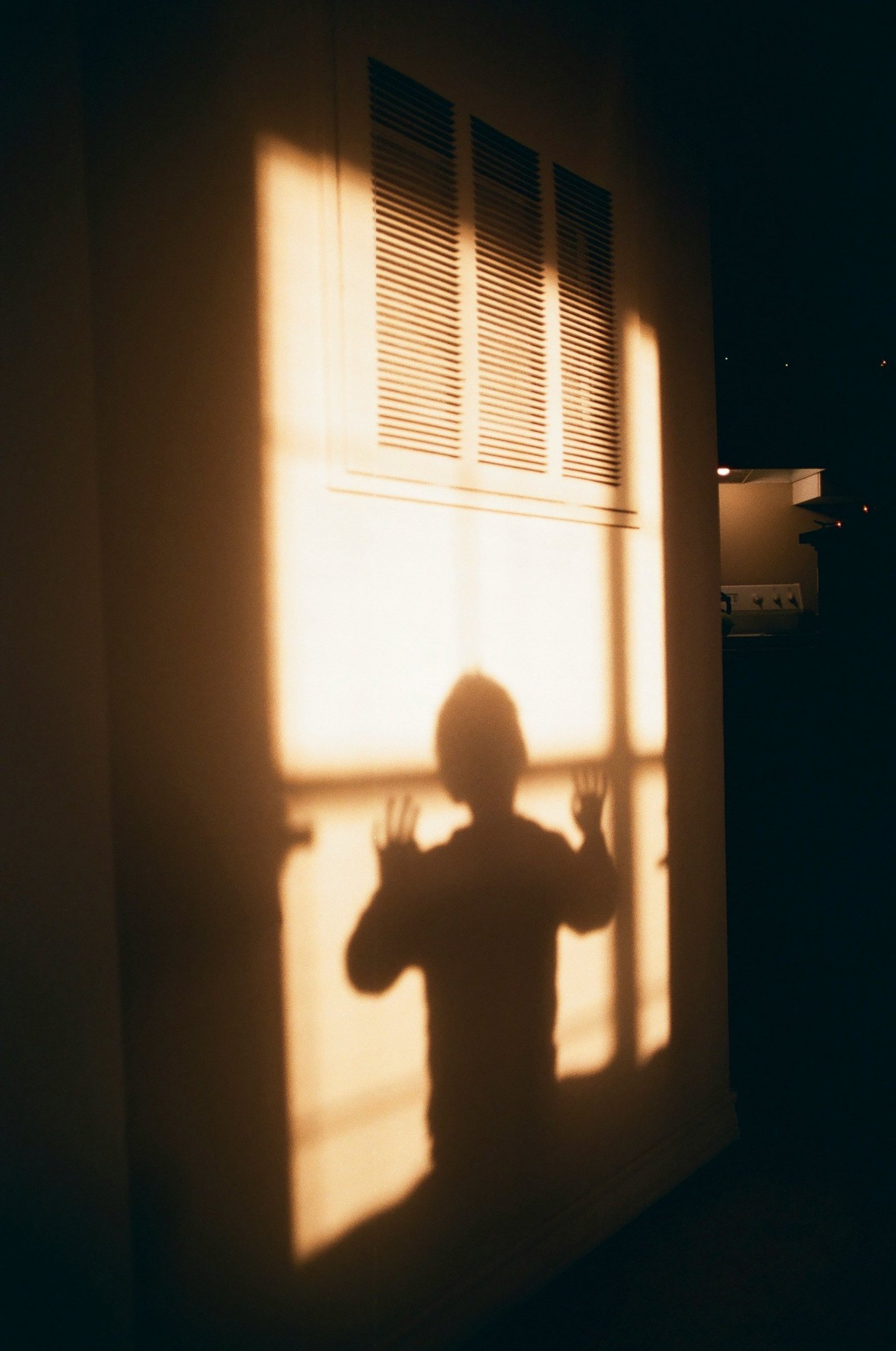 black blue and yellow textile