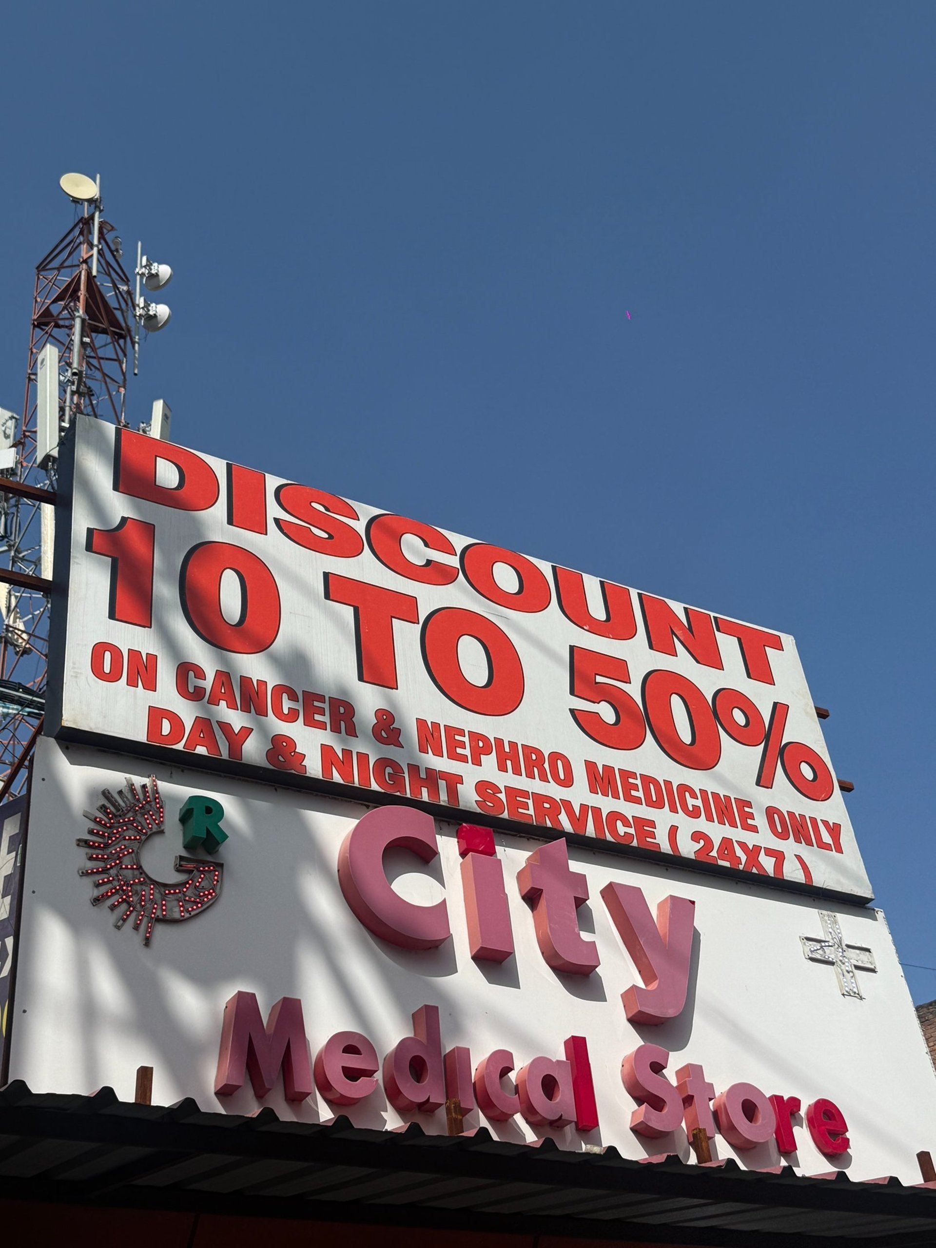 woman holding dried flower