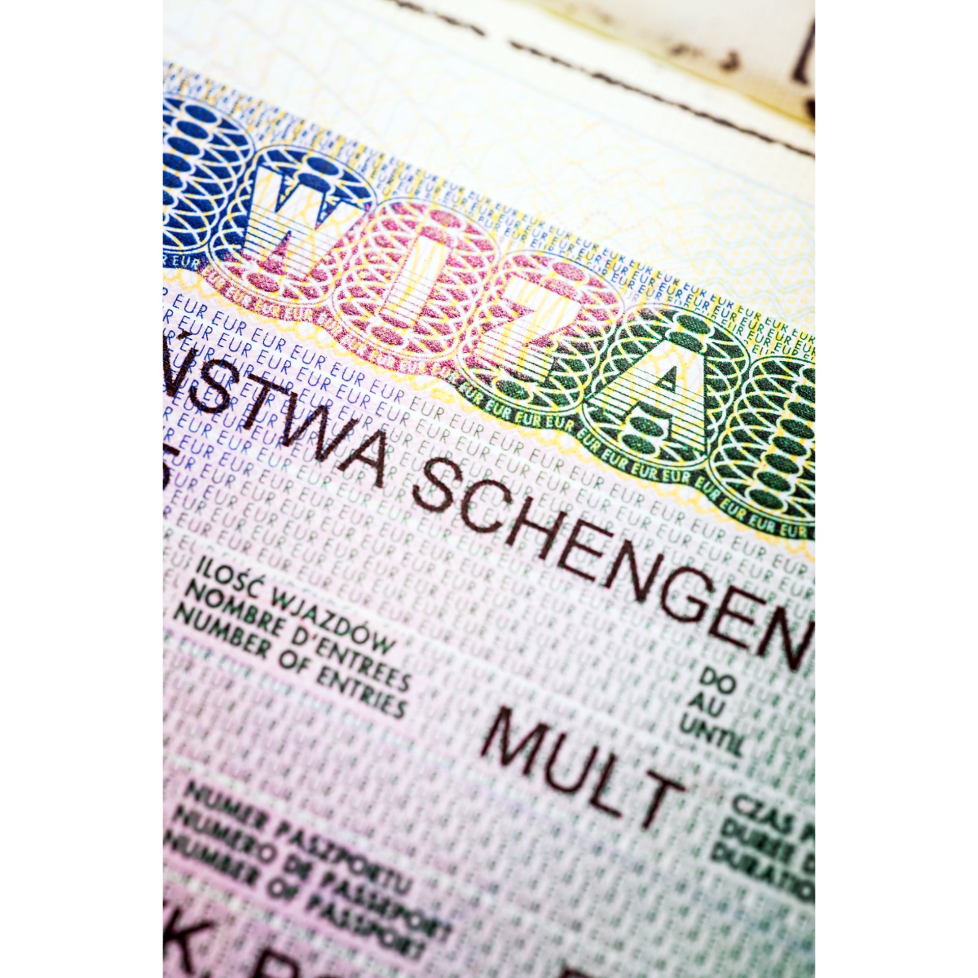 gray computer monitor