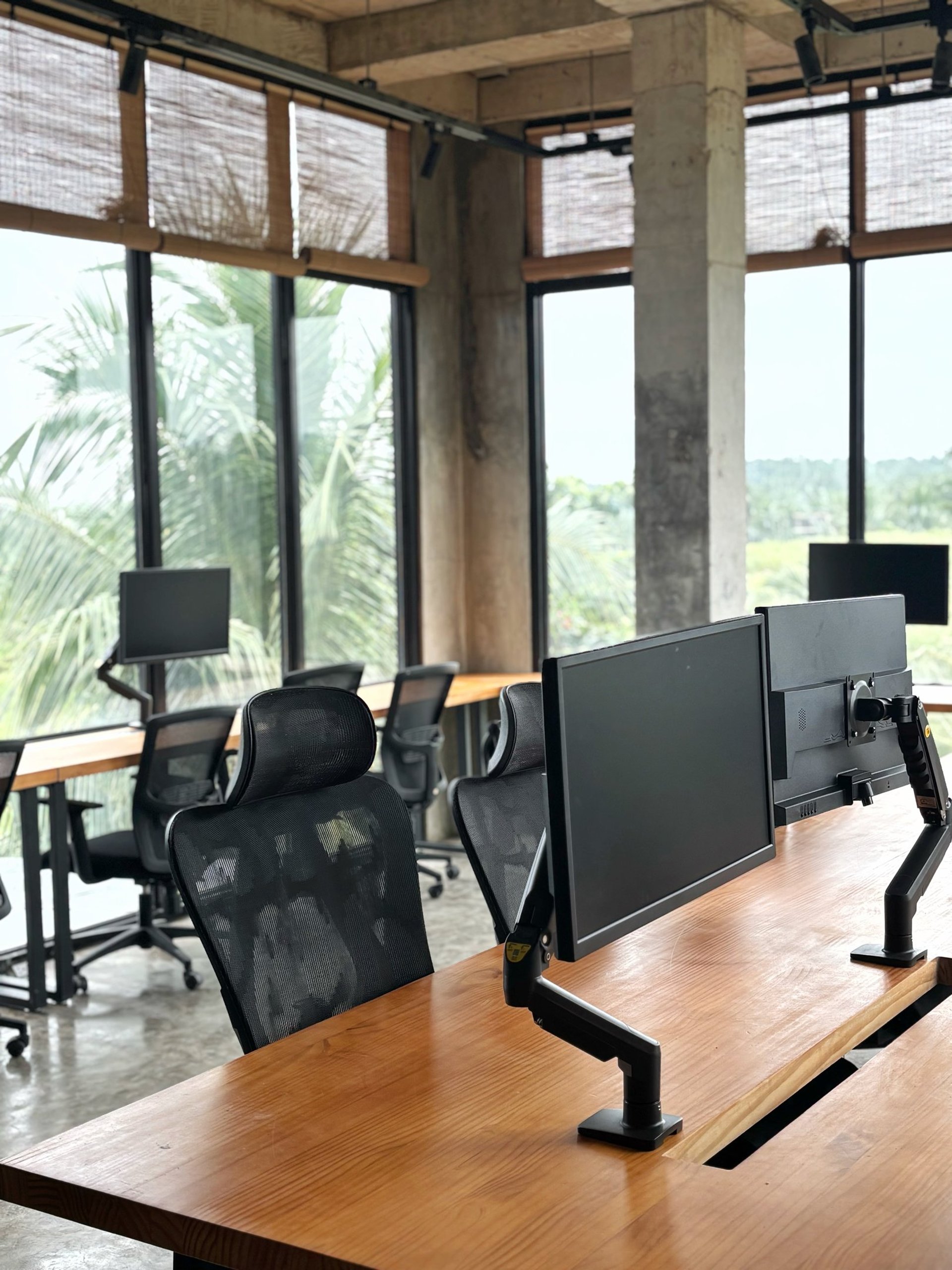 woman browsing on the internet