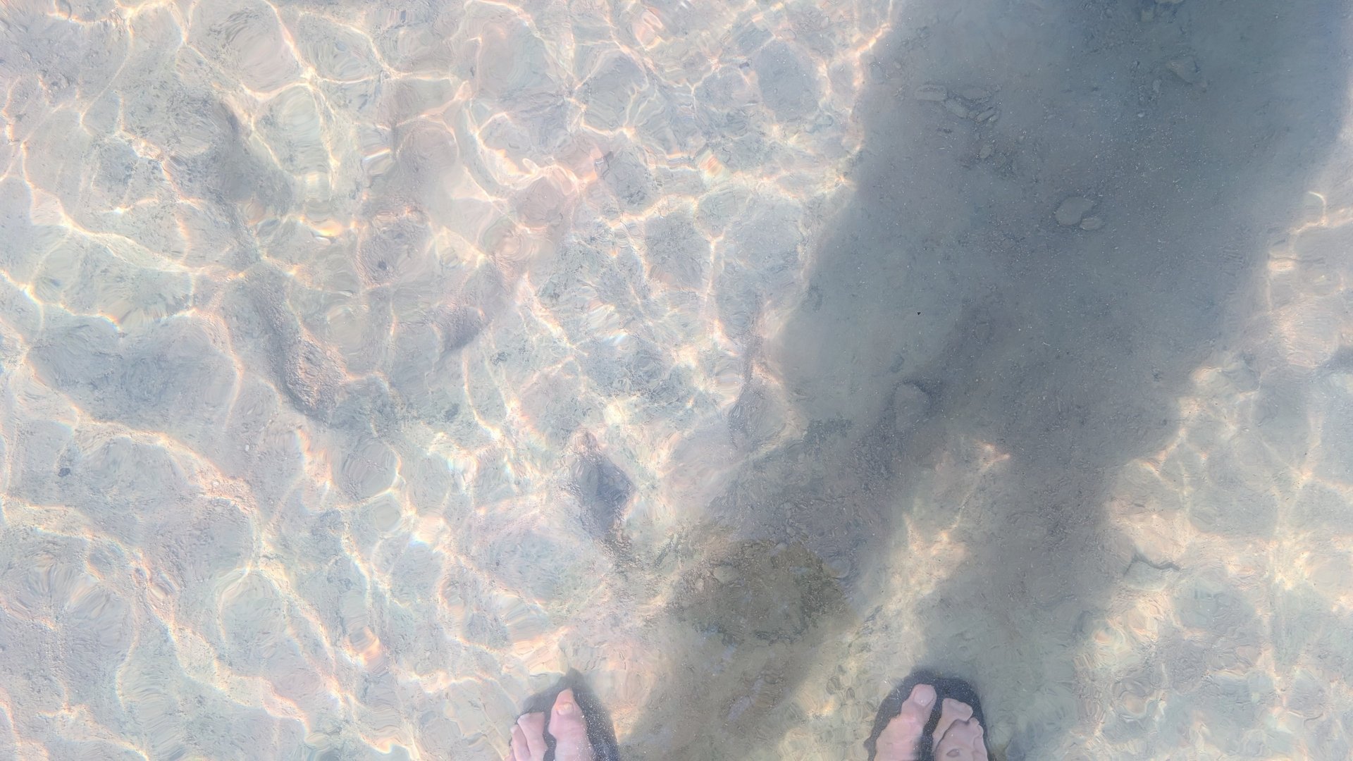 gray computer monitor