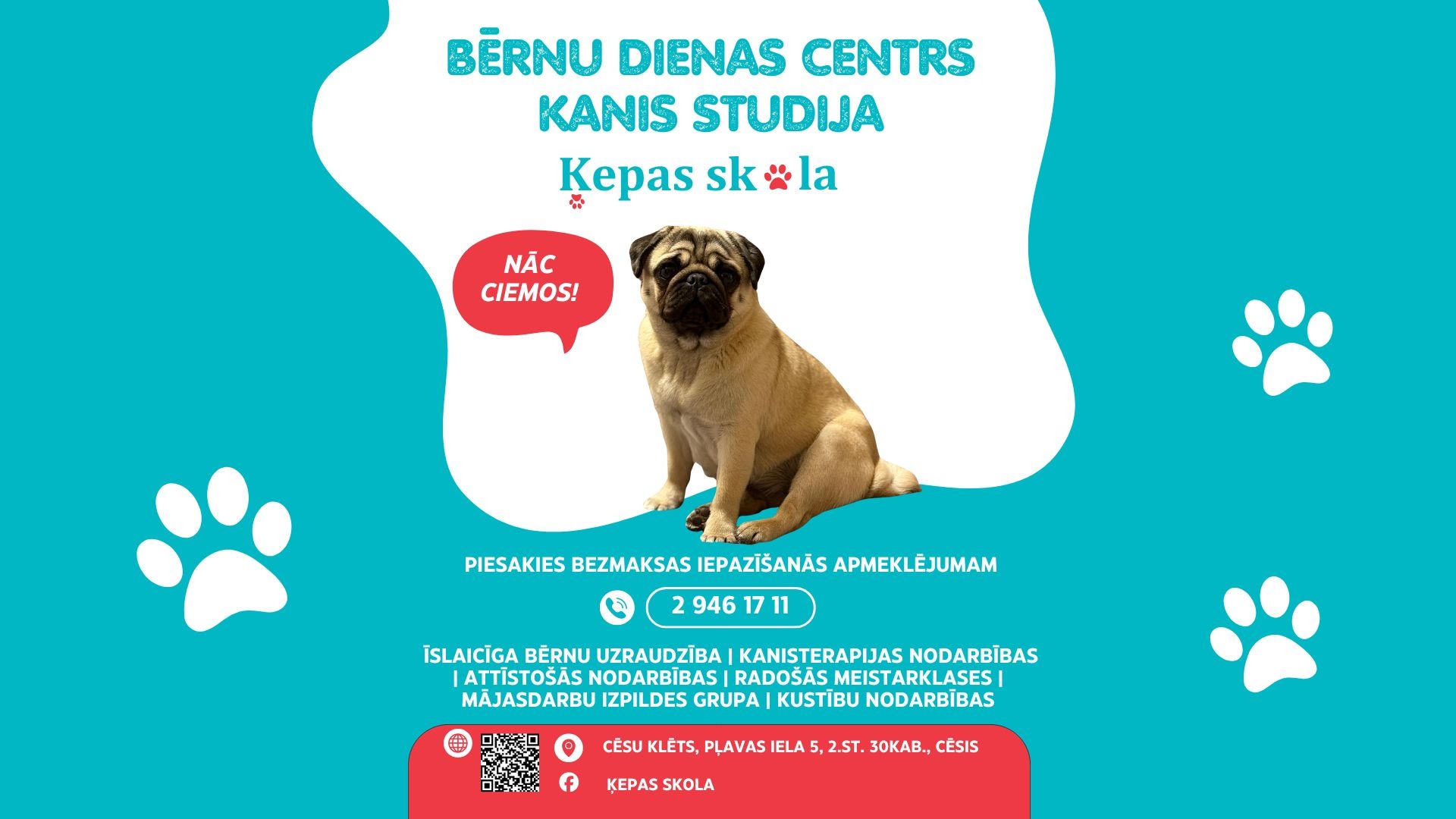 shallow focus photography of fawn pug