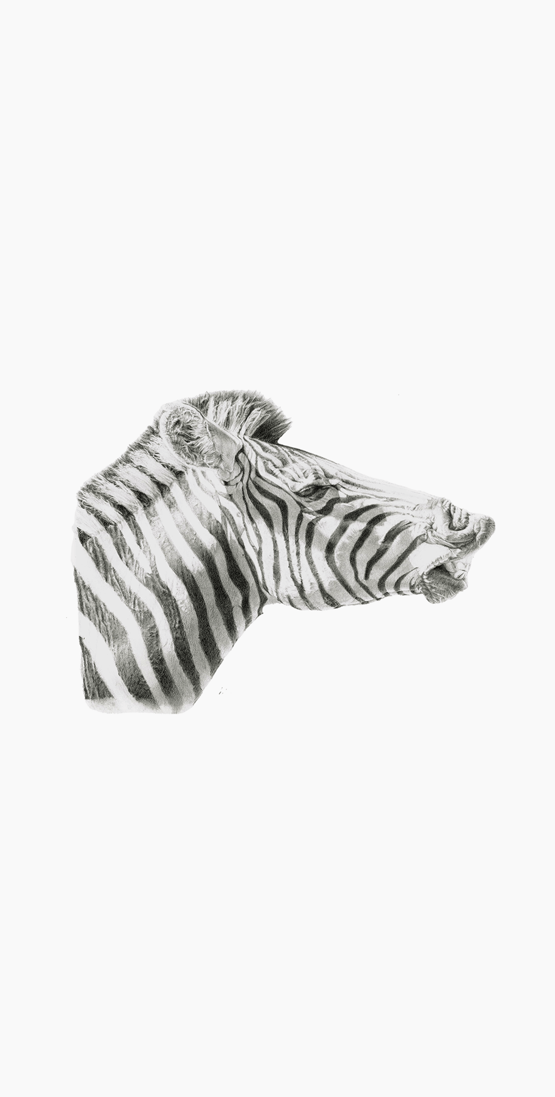 an abstract photo of a curved building with a blue sky in the background