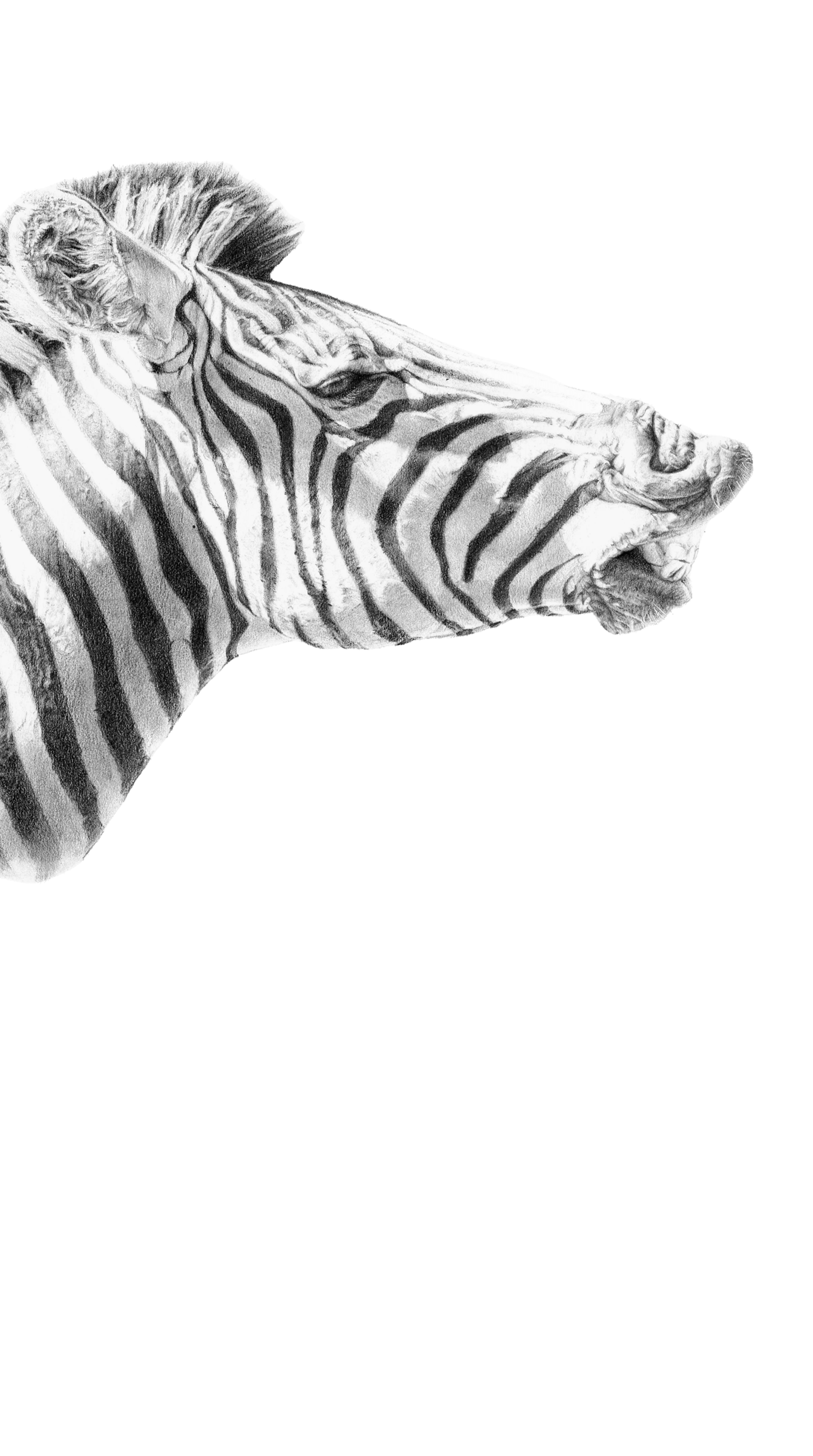 an abstract photo of a curved building with a blue sky in the background