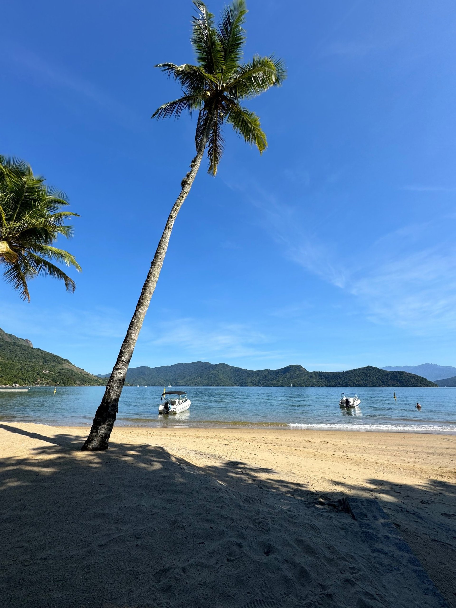 woman wearing yellow long-sleeved dress under white clouds and blue sky during daytime