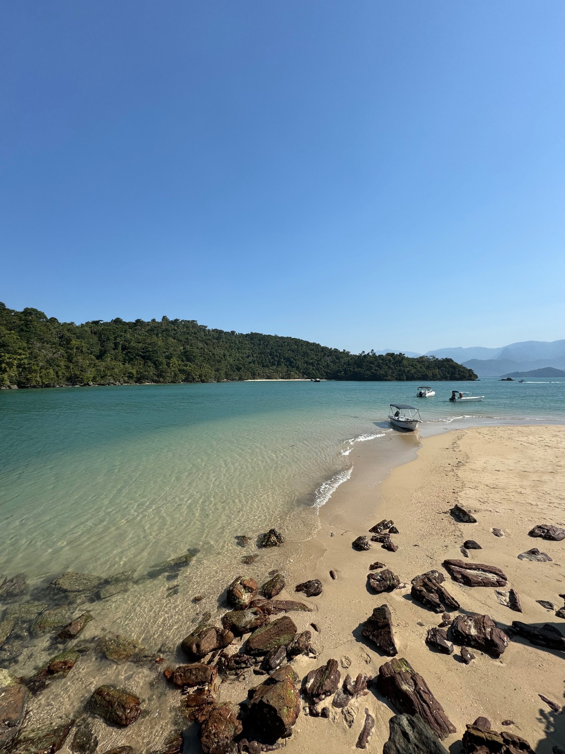 gray computer monitor