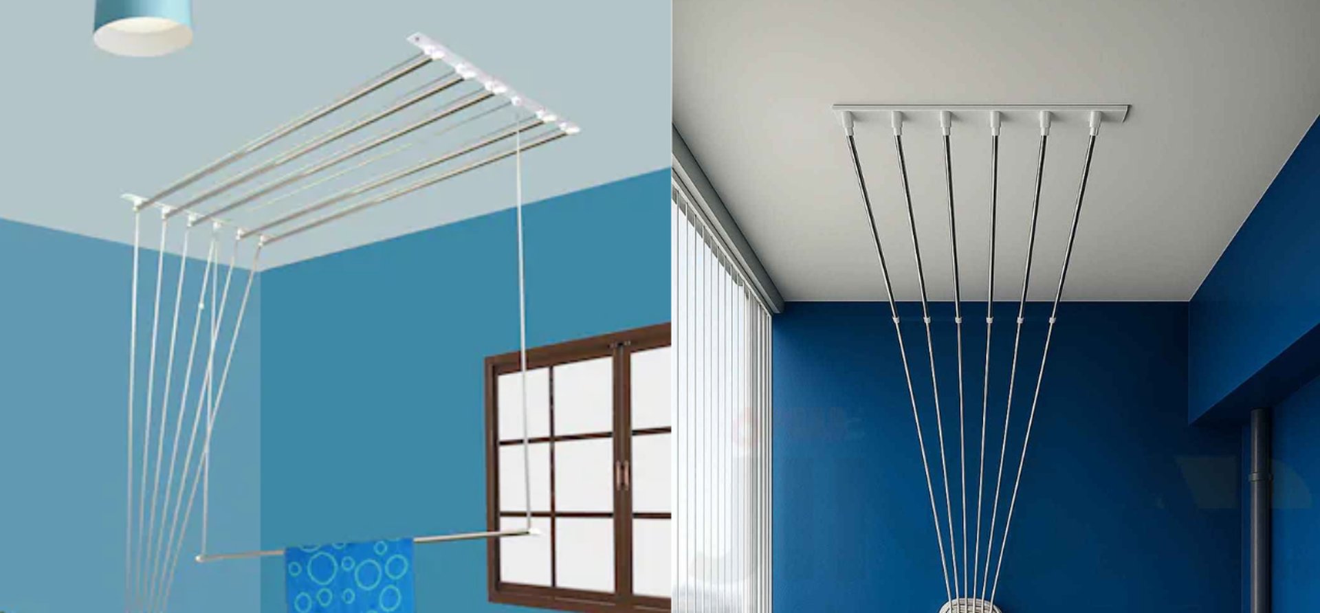 woman holding dried flower