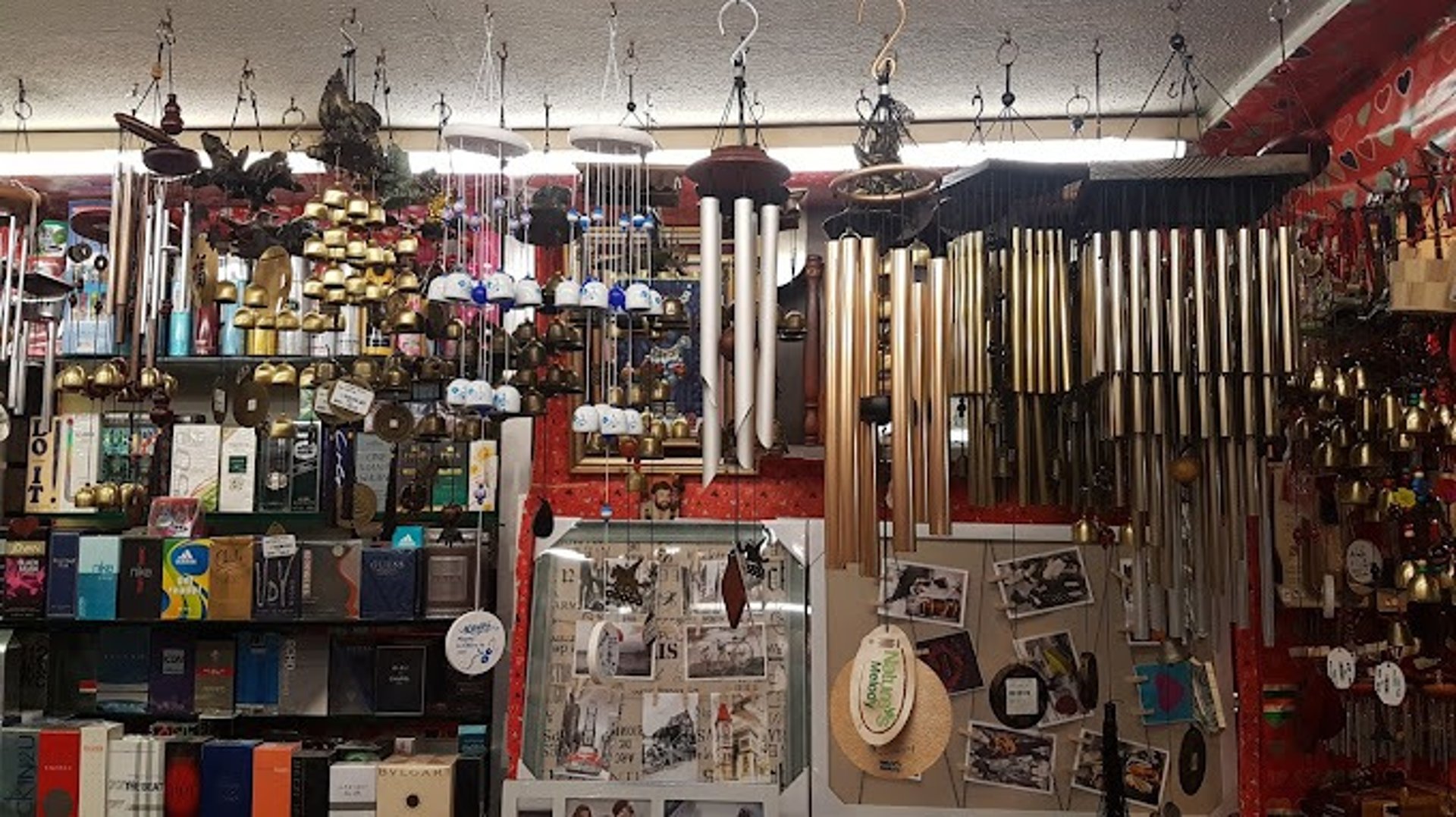 top view photography of person near palm trees