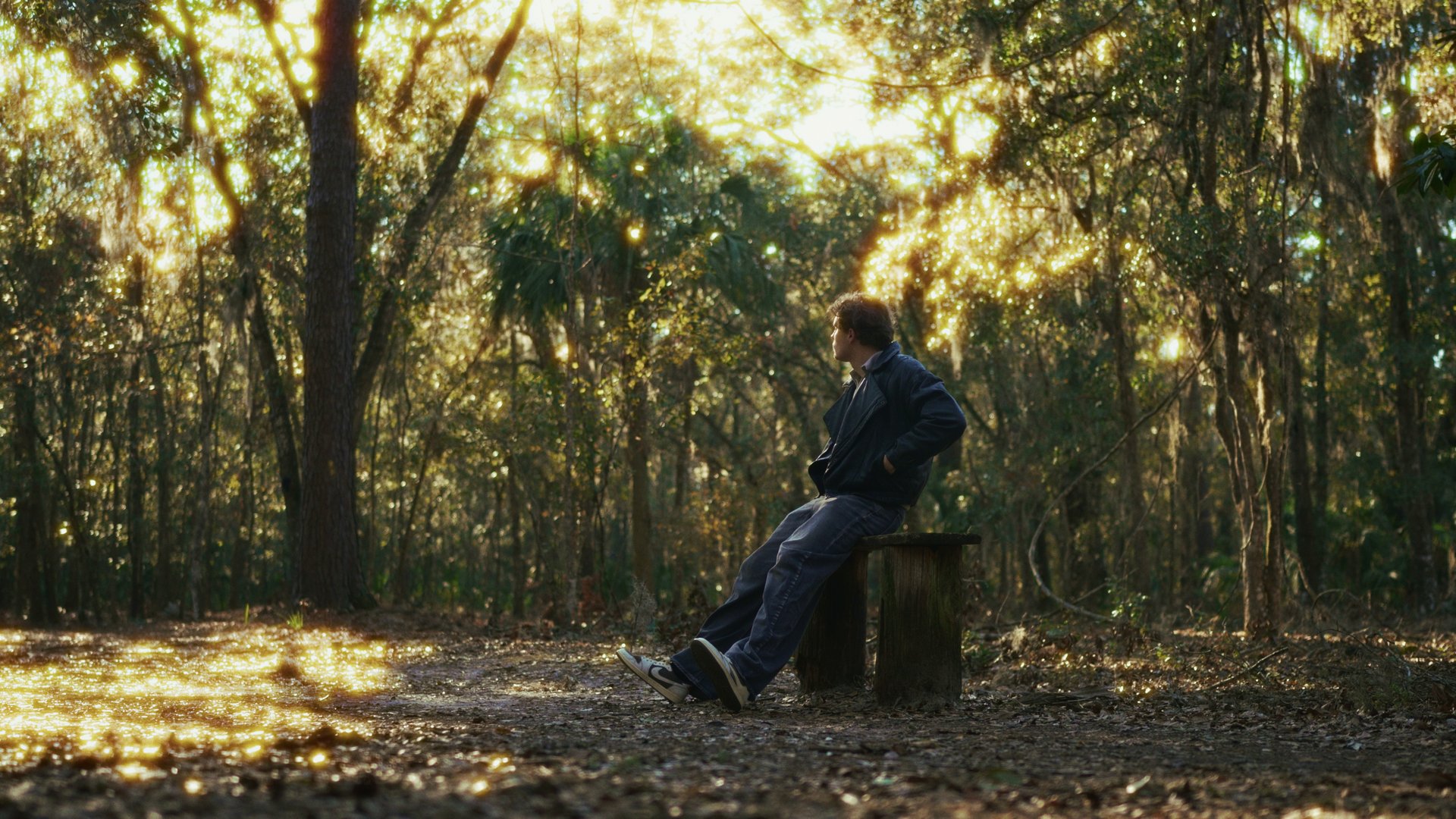 black blue and yellow textile