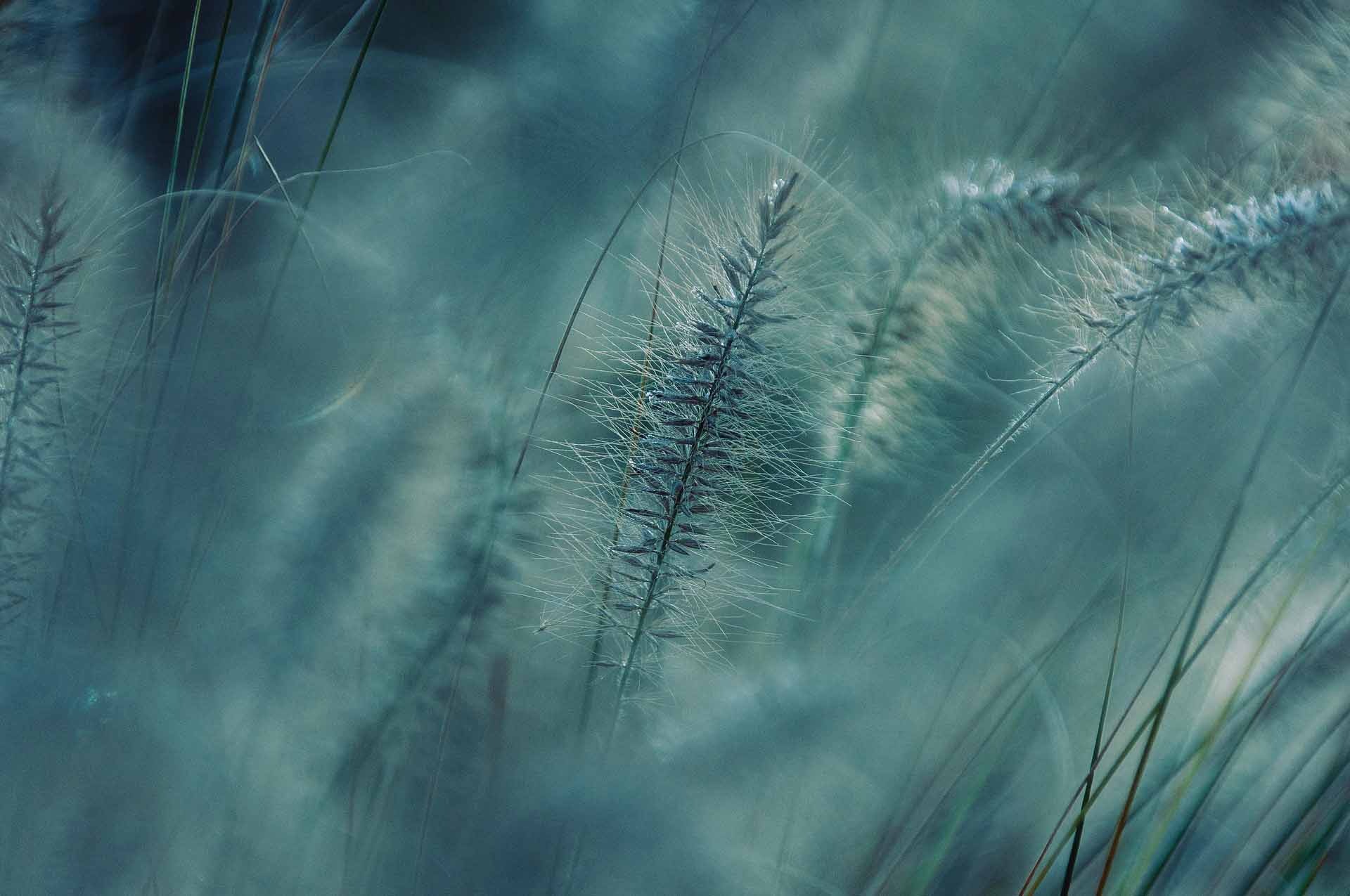 an abstract photo of a curved building with a blue sky in the background