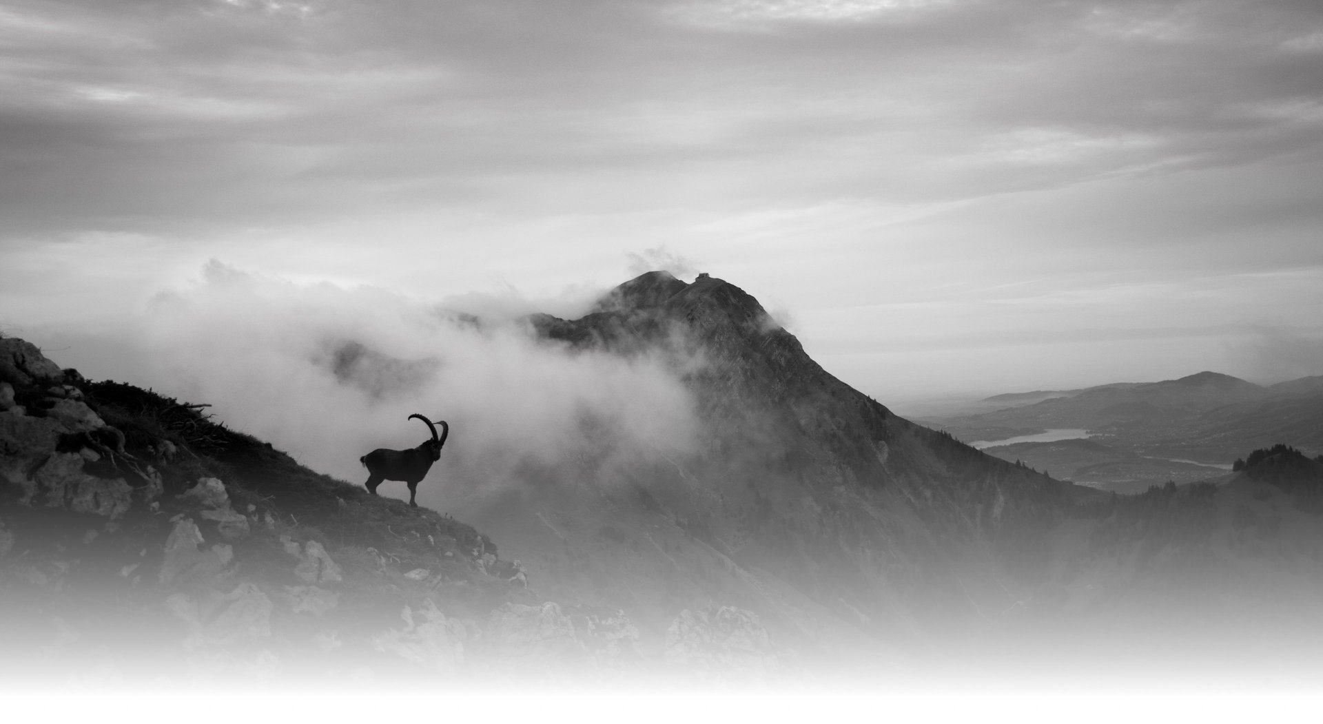 an abstract photo of a curved building with a blue sky in the background