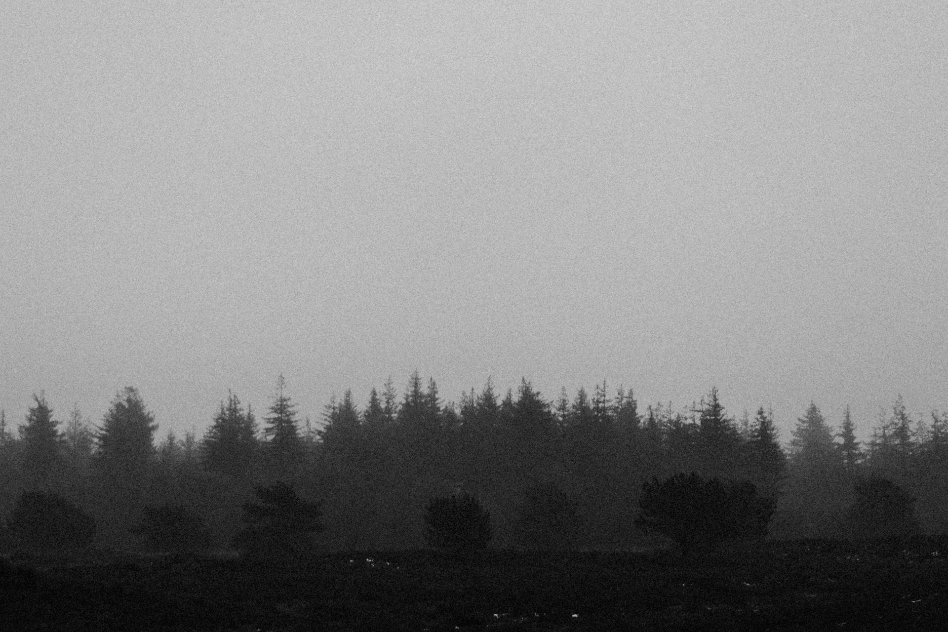 gray computer monitor