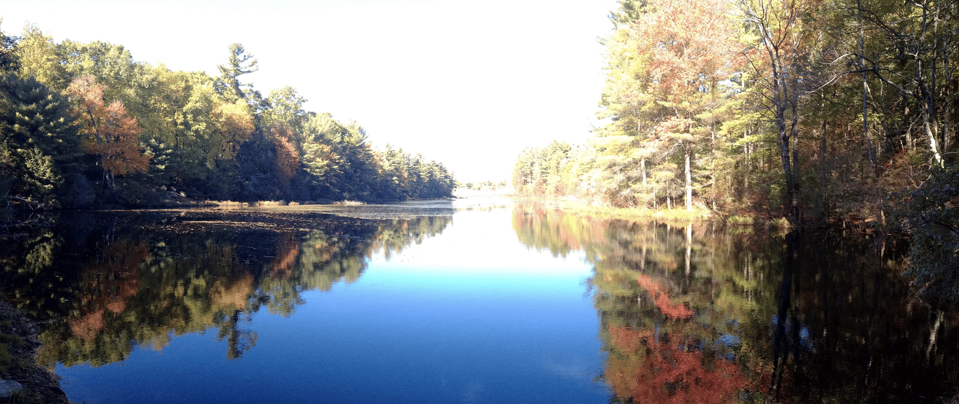 gray computer monitor