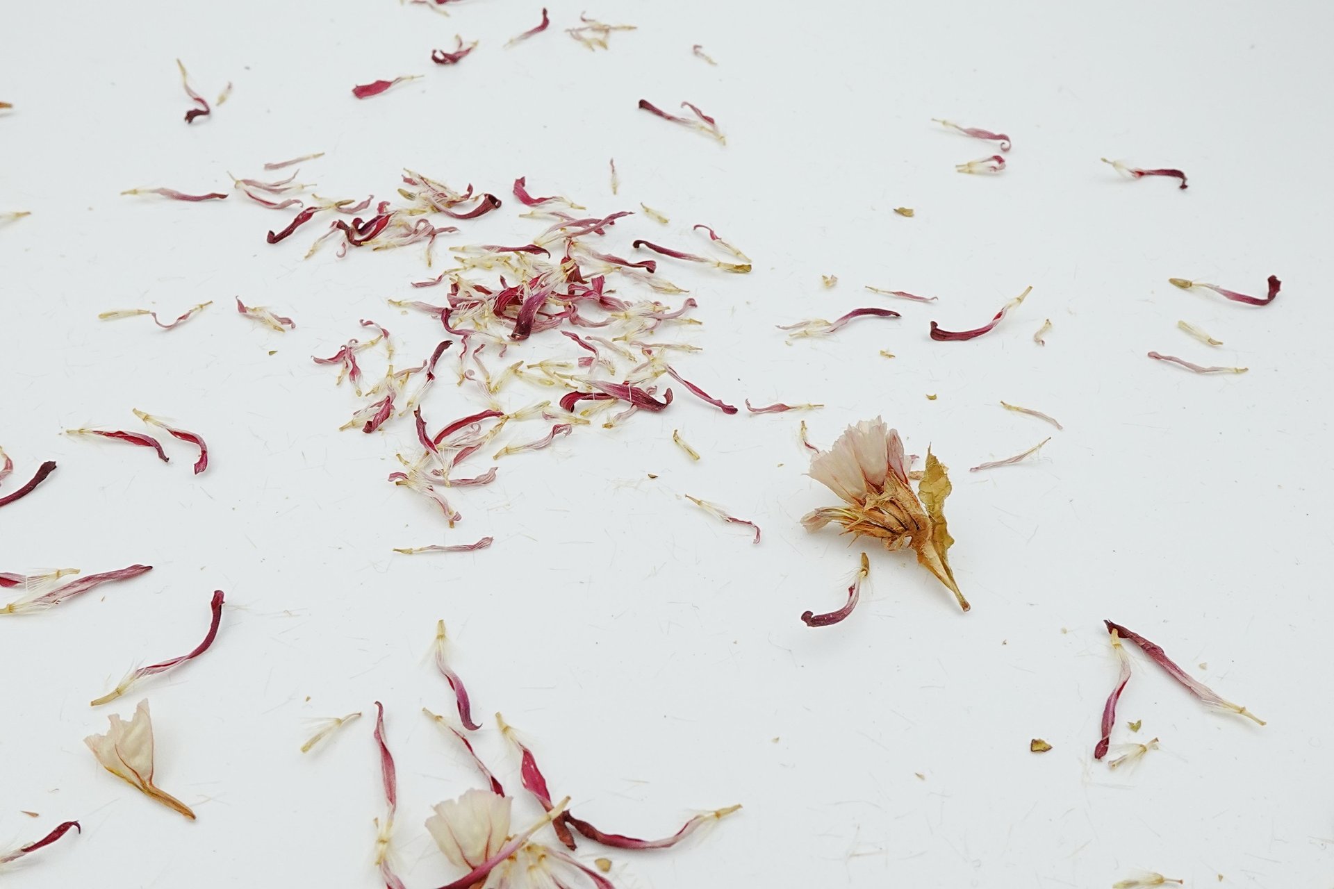 mountain range under blue sky