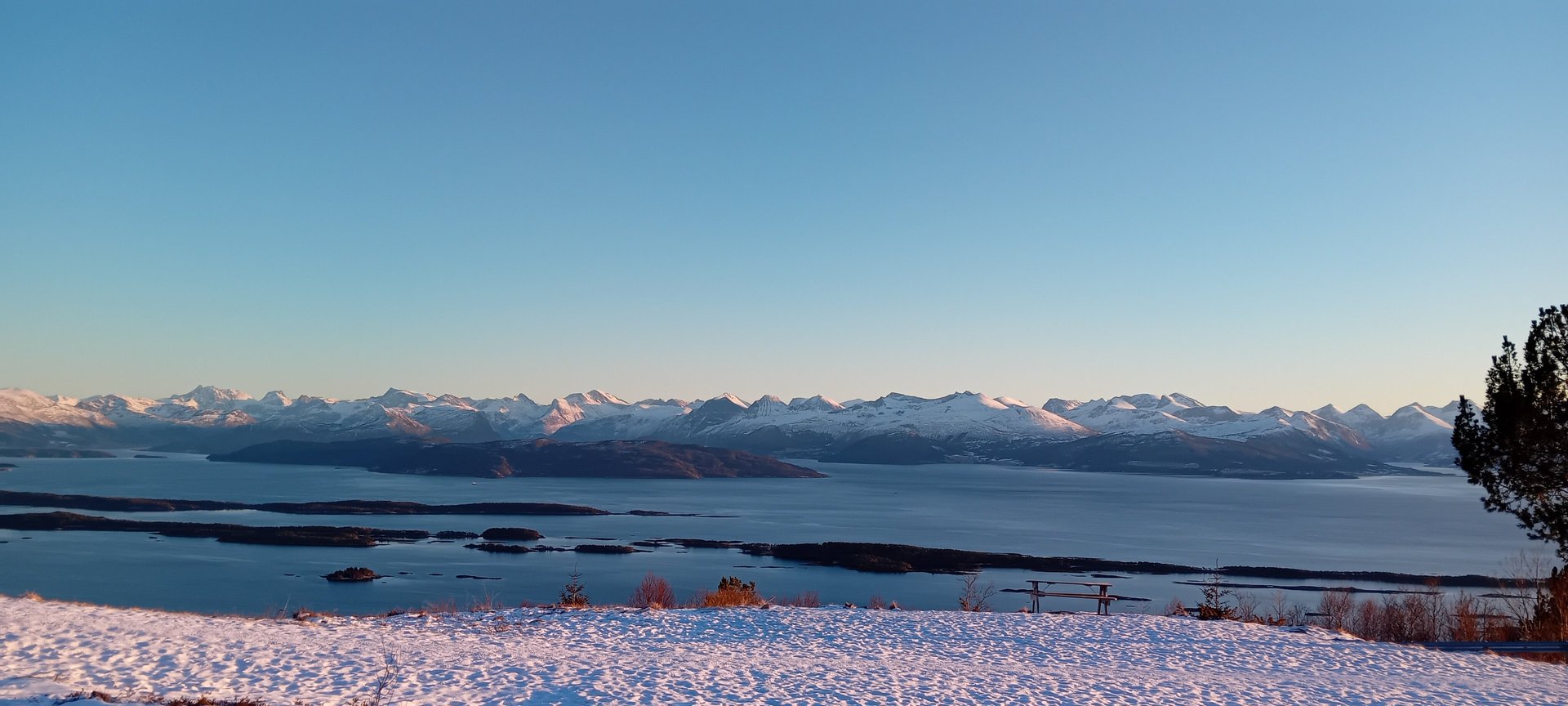 woman wearing yellow long-sleeved dress under white clouds and blue sky during daytime