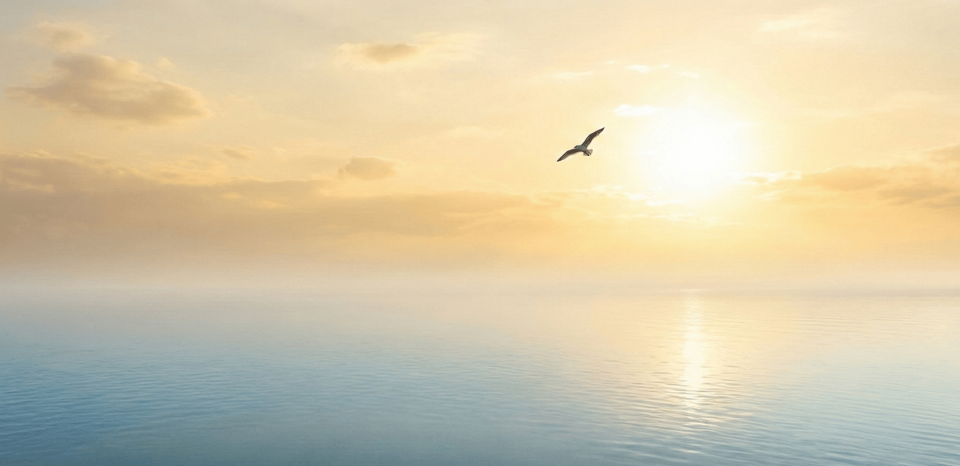 an abstract photo of a curved building with a blue sky in the background