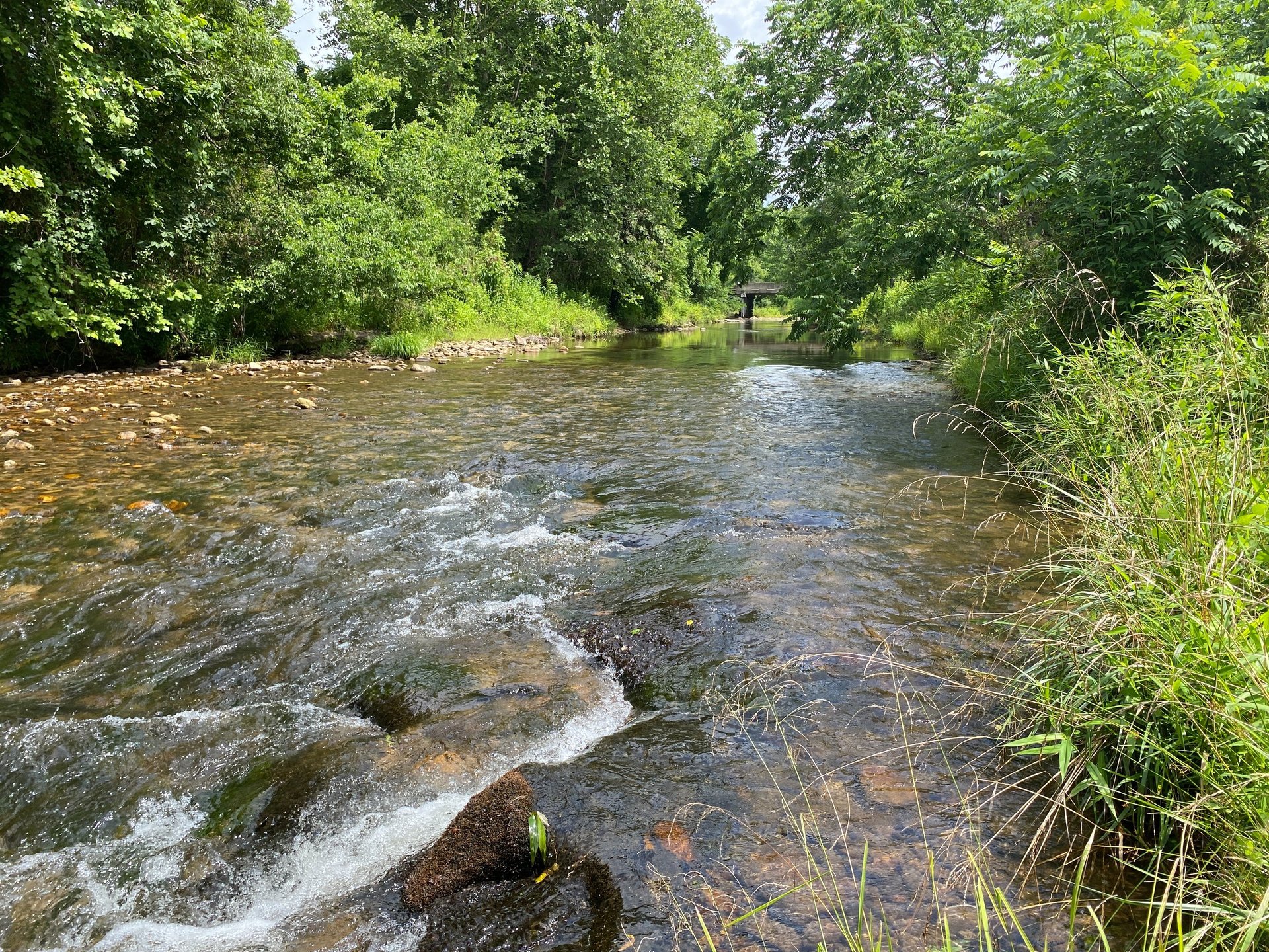 black and brown leather padded tub sofa