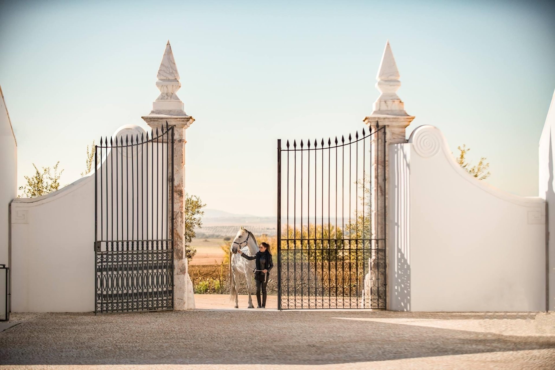 black and white bed linen