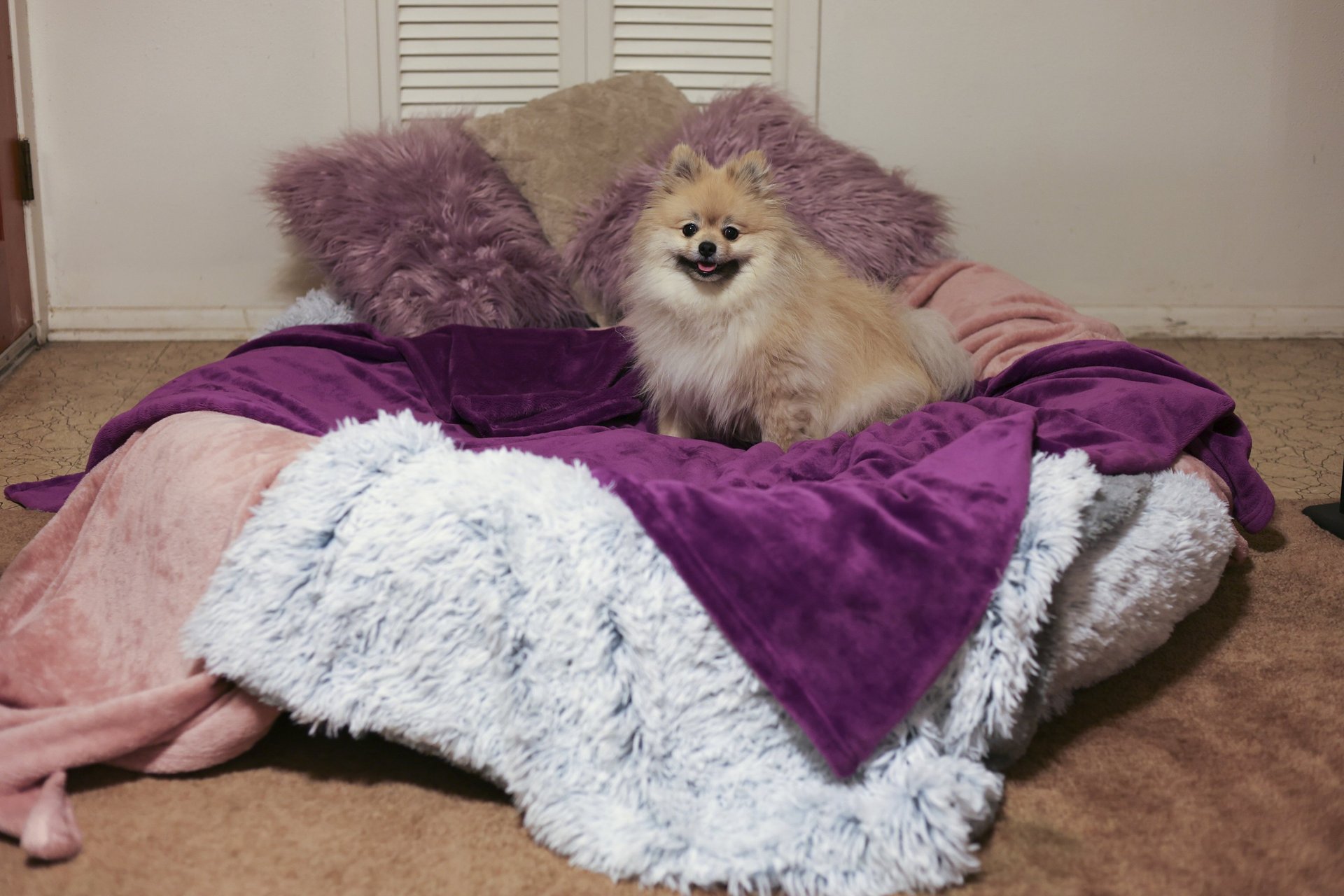 black blue and yellow textile